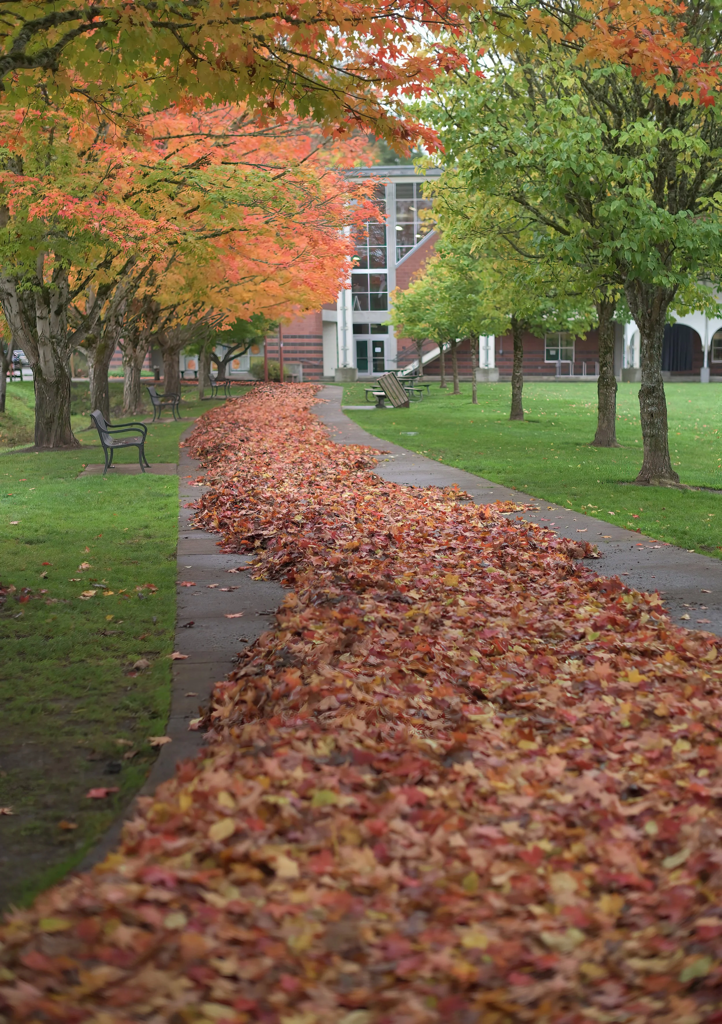 ZFC_0029-SharpenAI-Focus WEB.JPG