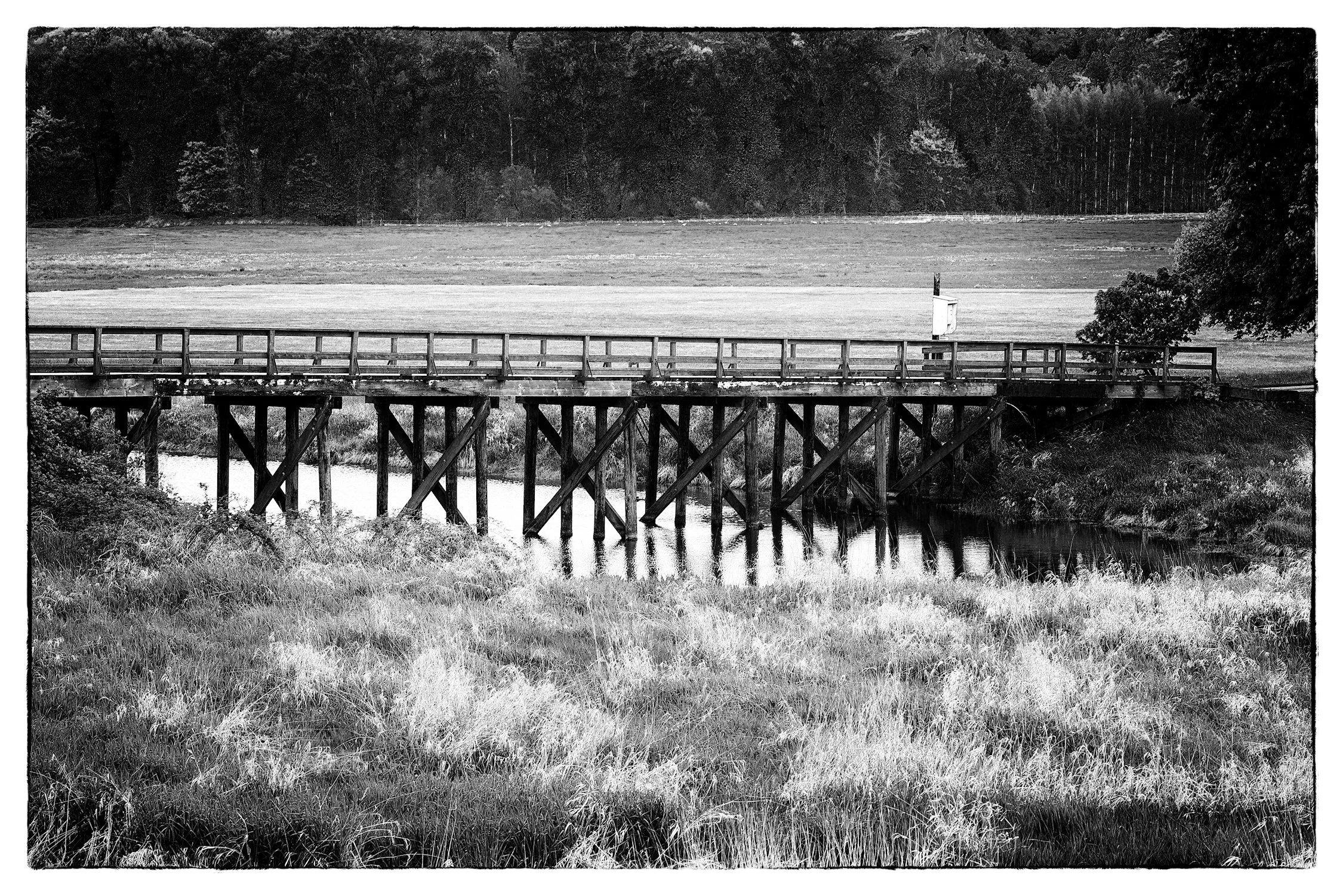 DSC_7998 BW Processed WEB.jpg