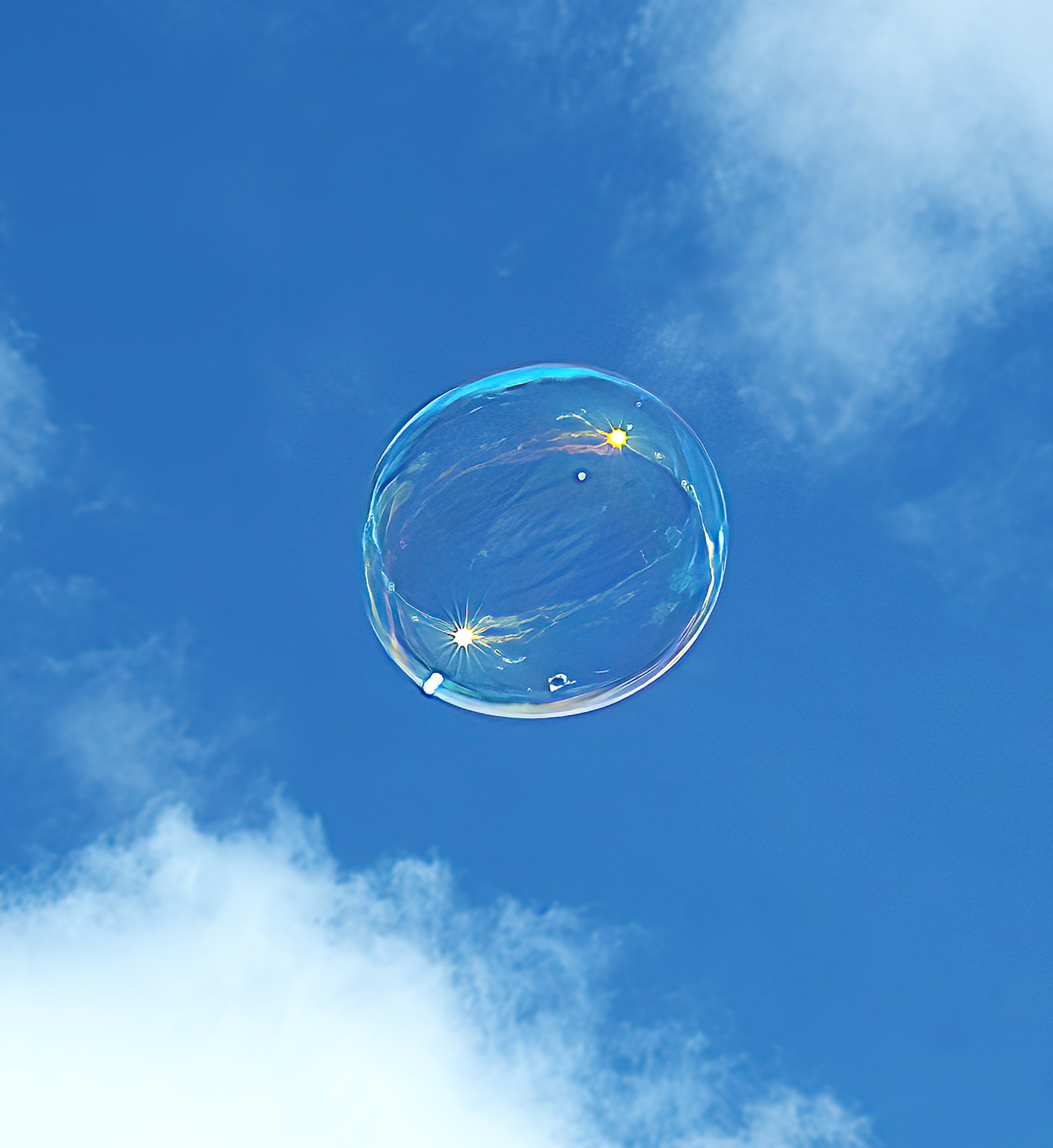 WEB ZFC_3946-SharpenAI-Focus-DeNoiseAI-standard.jpg