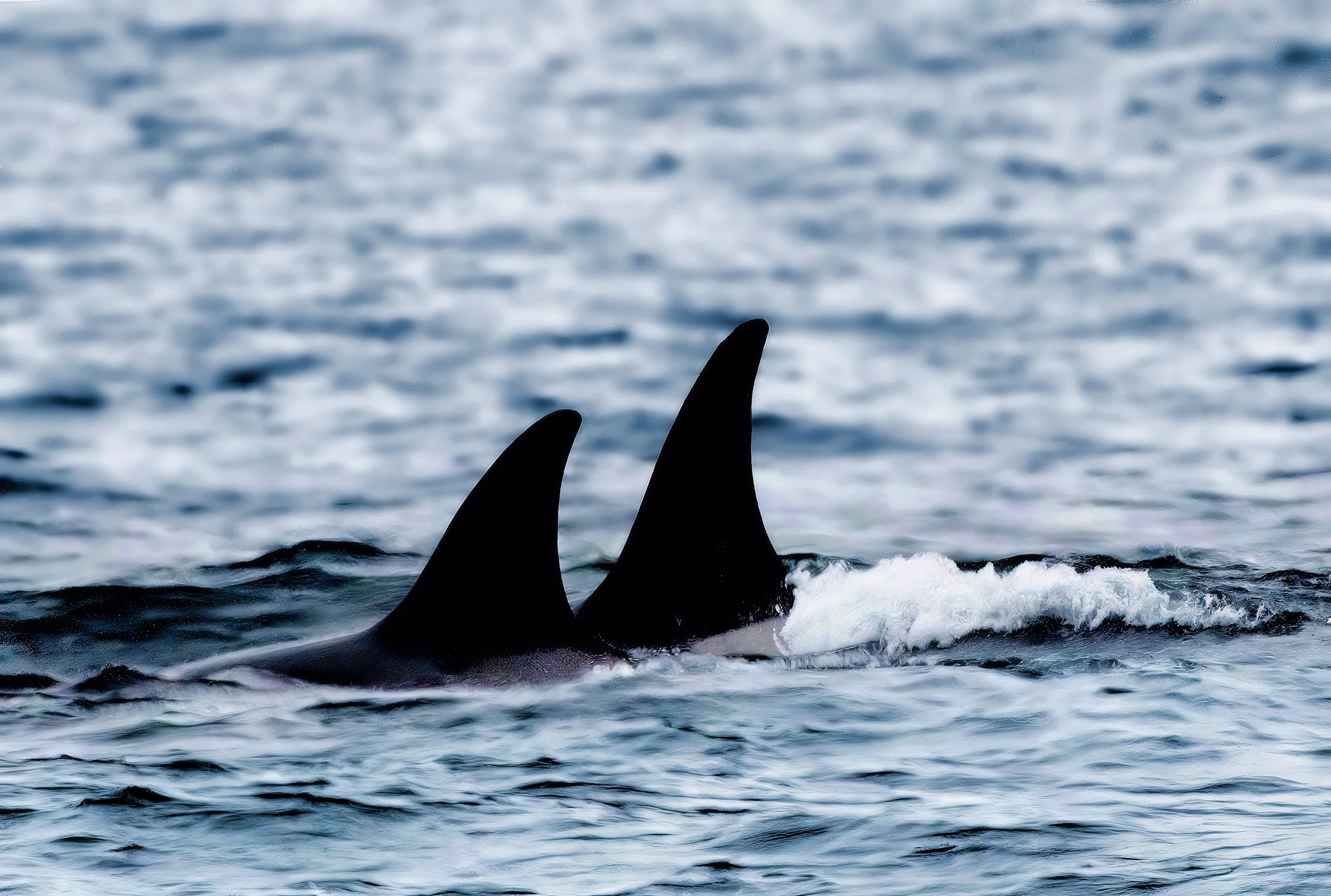 ZFC_5195 2025 Edit-redefine-1x BEST FINAL-cgi-1x WEB.jpeg