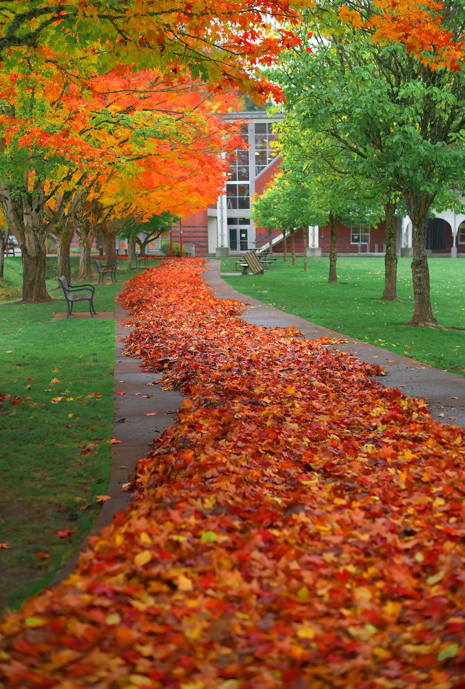 ZFC_0029-SharpenAI-Focus WEB.jpg