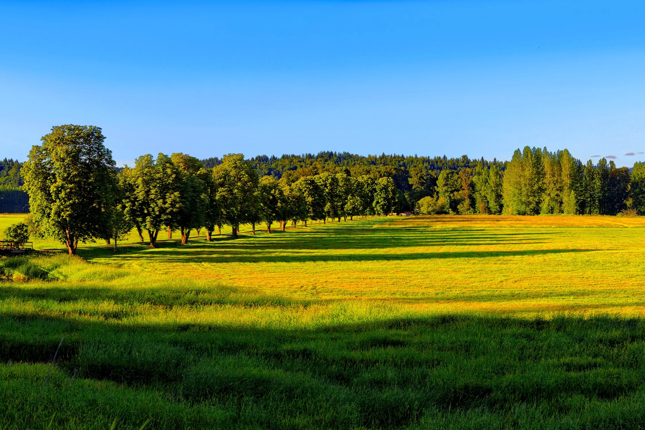 Untitled_Panorama-WIP-gigapixel-standard v2-1x BEST WEB Cropped.jpg