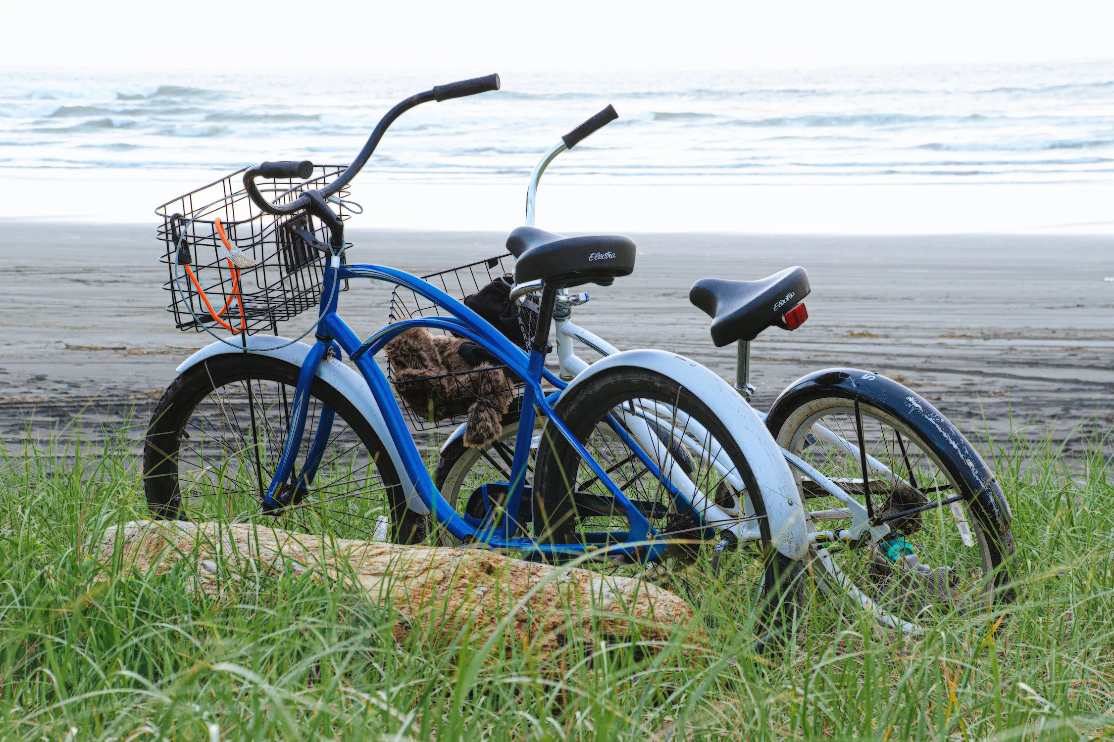 BikesColor_DSC4570-2 3-sharpen BEST WEB.jpg