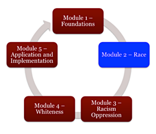 Modules of the Seattle & King County Inter Branch Team's Racial Equity Training. The training and graphic were provided by Heather Hackman, Hackman Consulting Group .