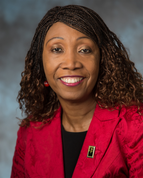 Dr. Ngozi Oleru, PhD