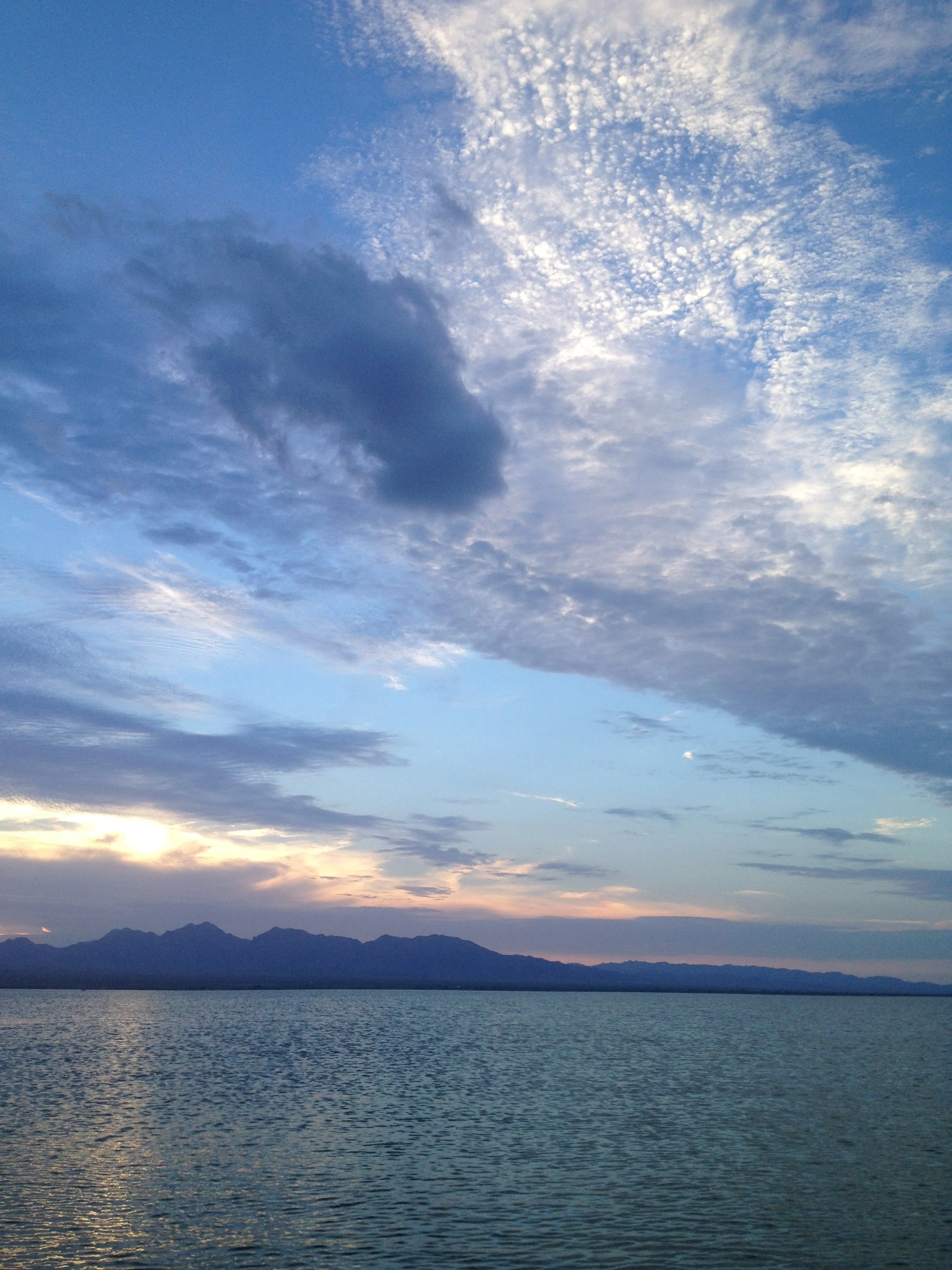 IMG_8005 copy.jpg