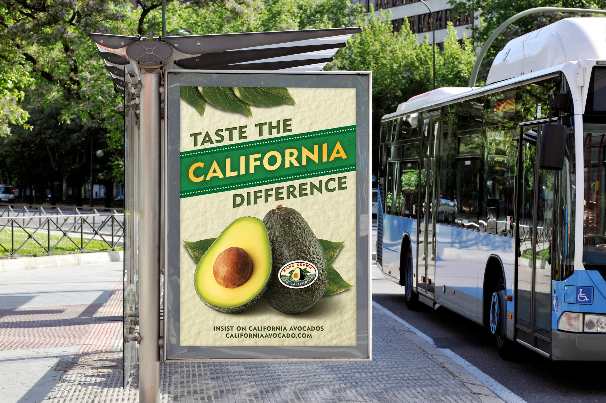 Bus-Shelter.jpg