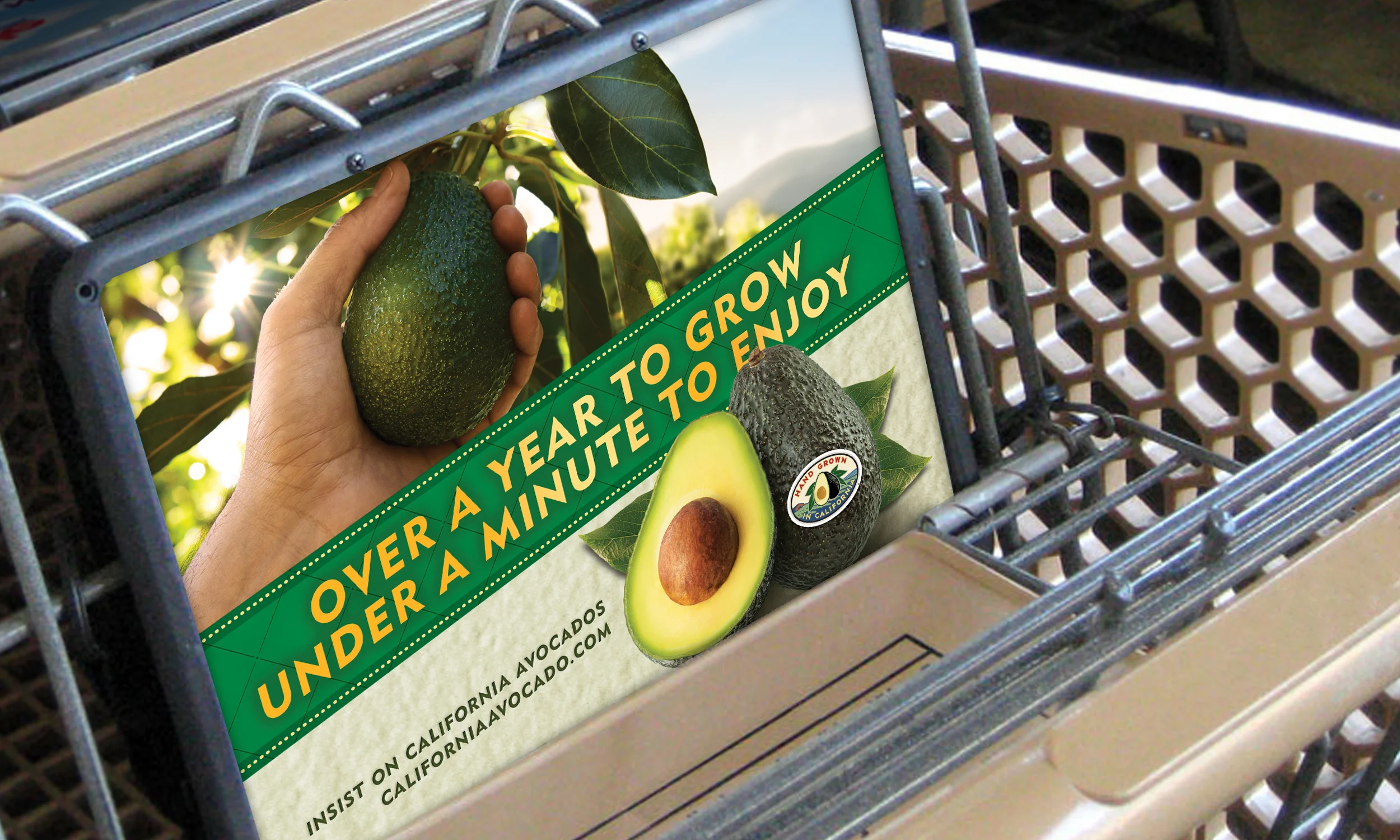 CAC Shopping cart.jpg