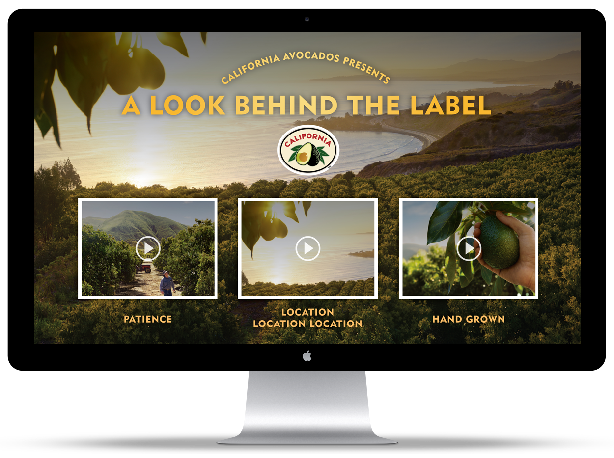 Landing Page.png