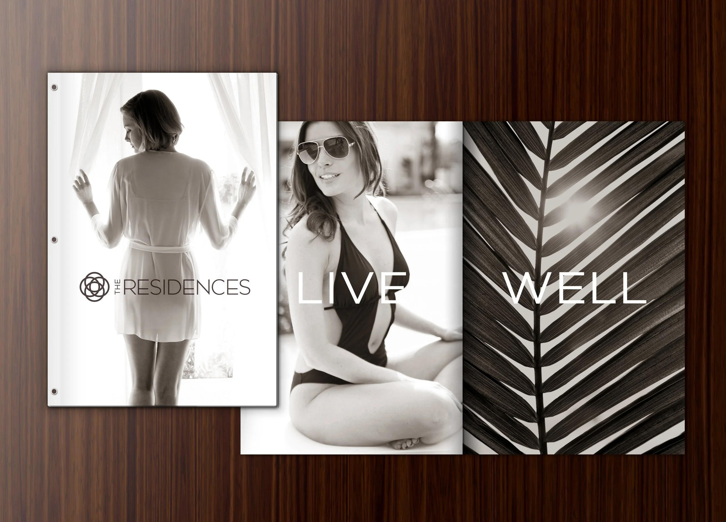 Brochure cover and spread.jpg