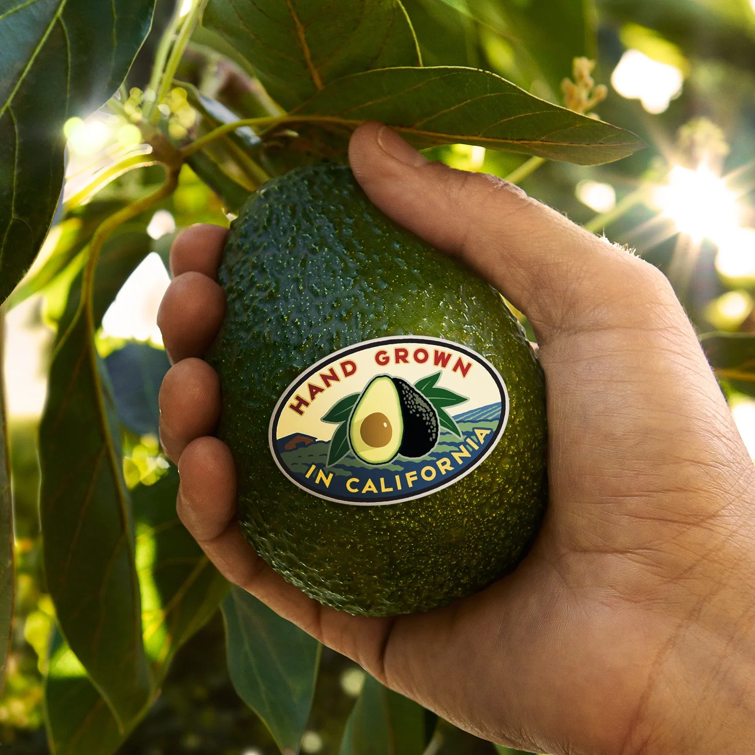 CAC-Thumbnail + logo.jpg