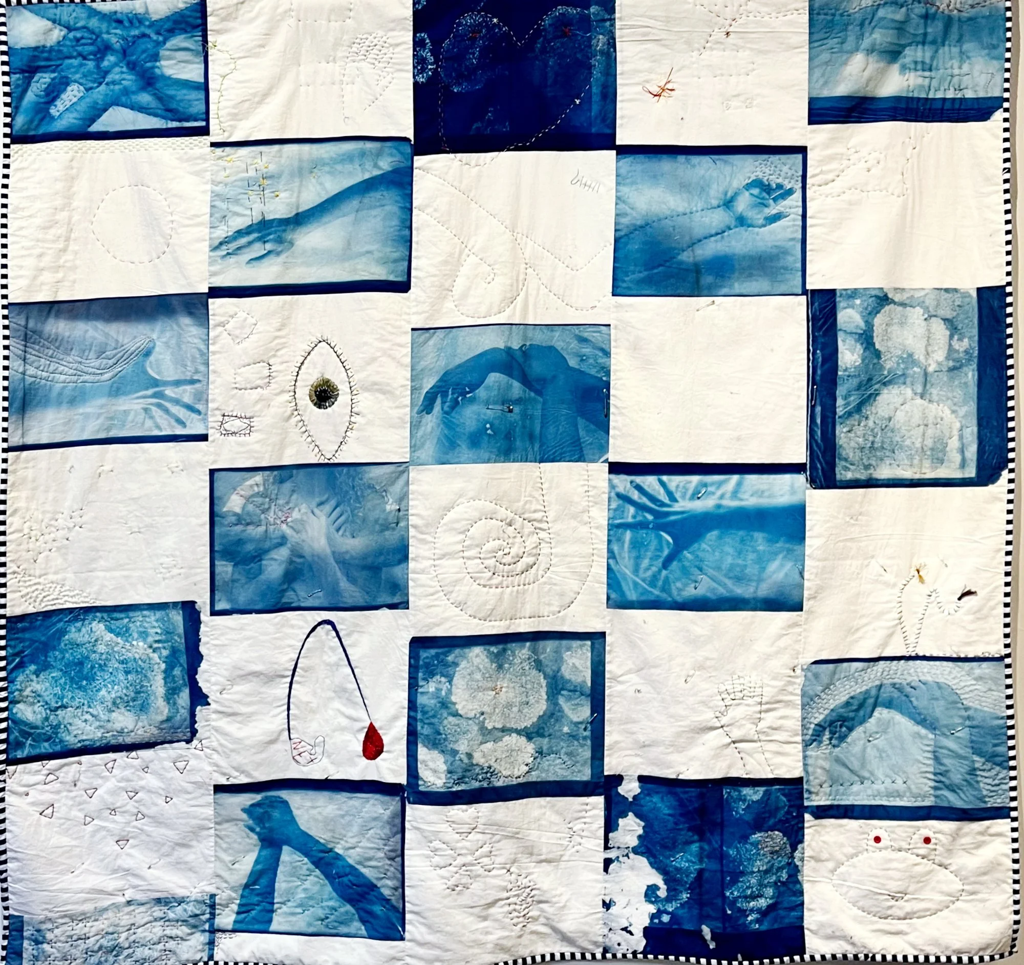 Holobiont Quilt 