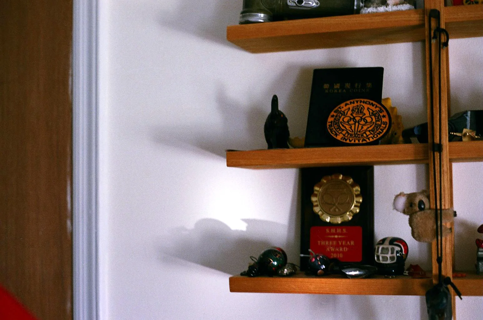 shelves1.jpg