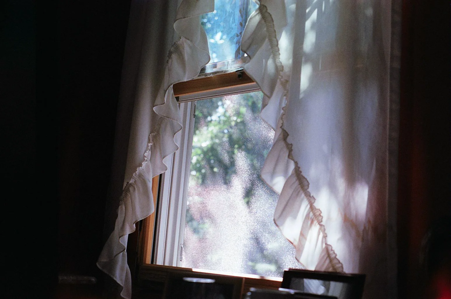 window.jpg
