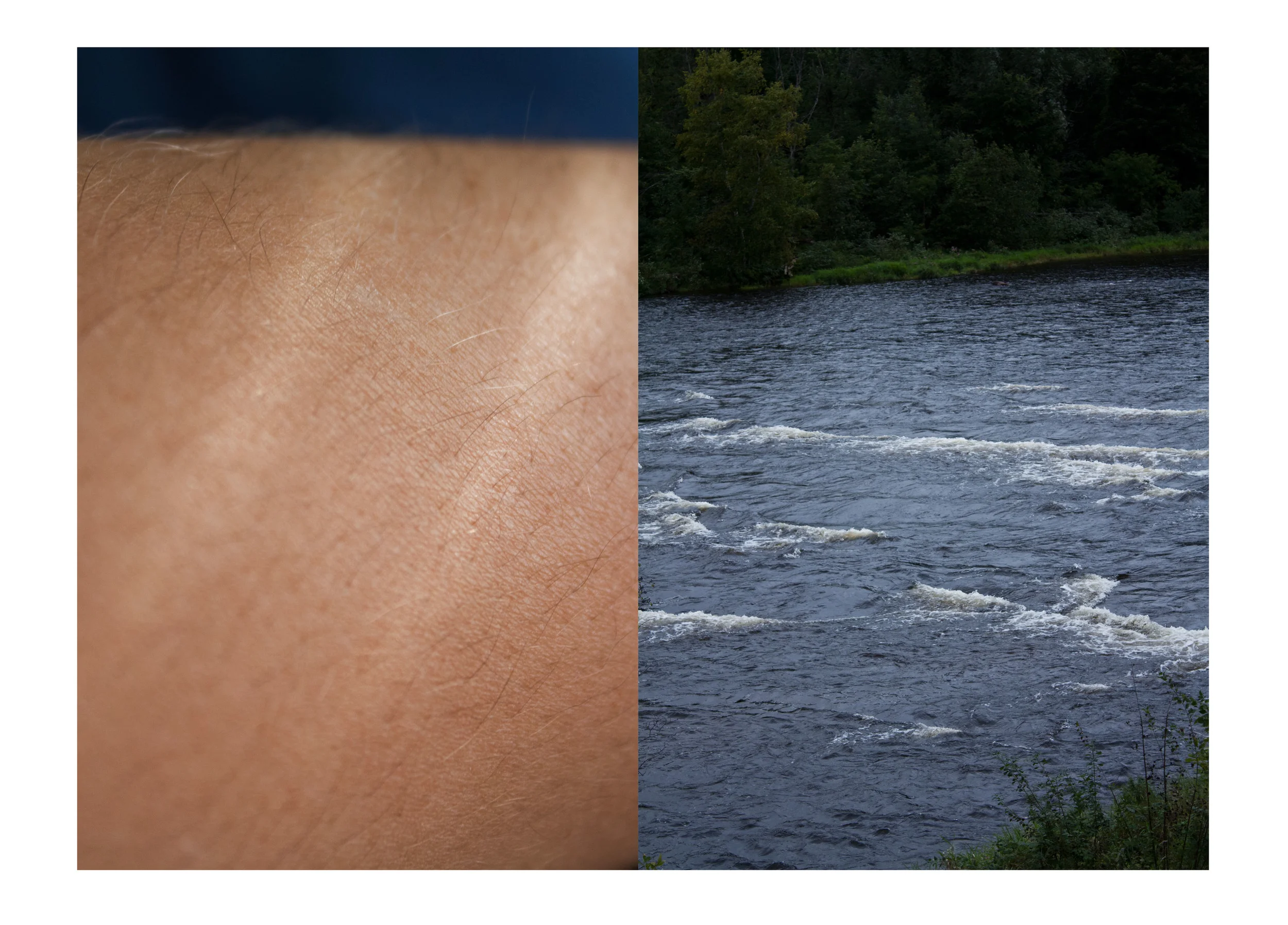 arm.jpg