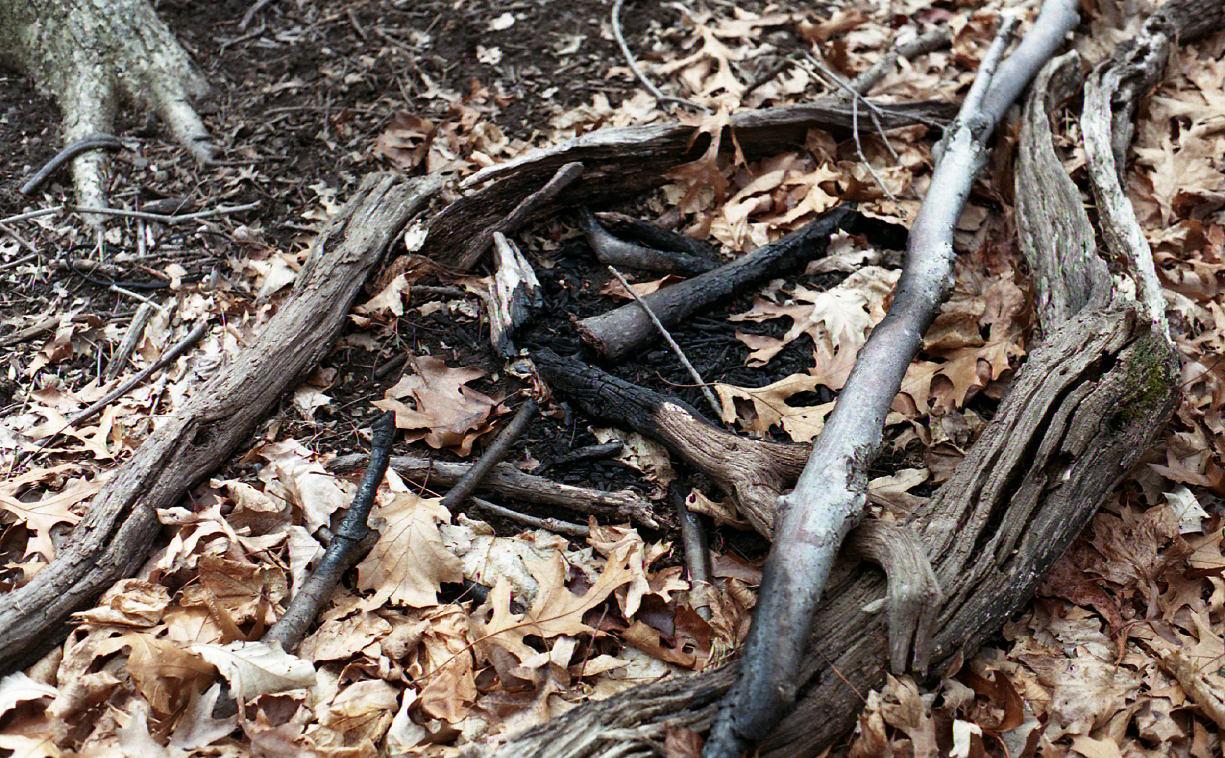 negs2047.jpg
