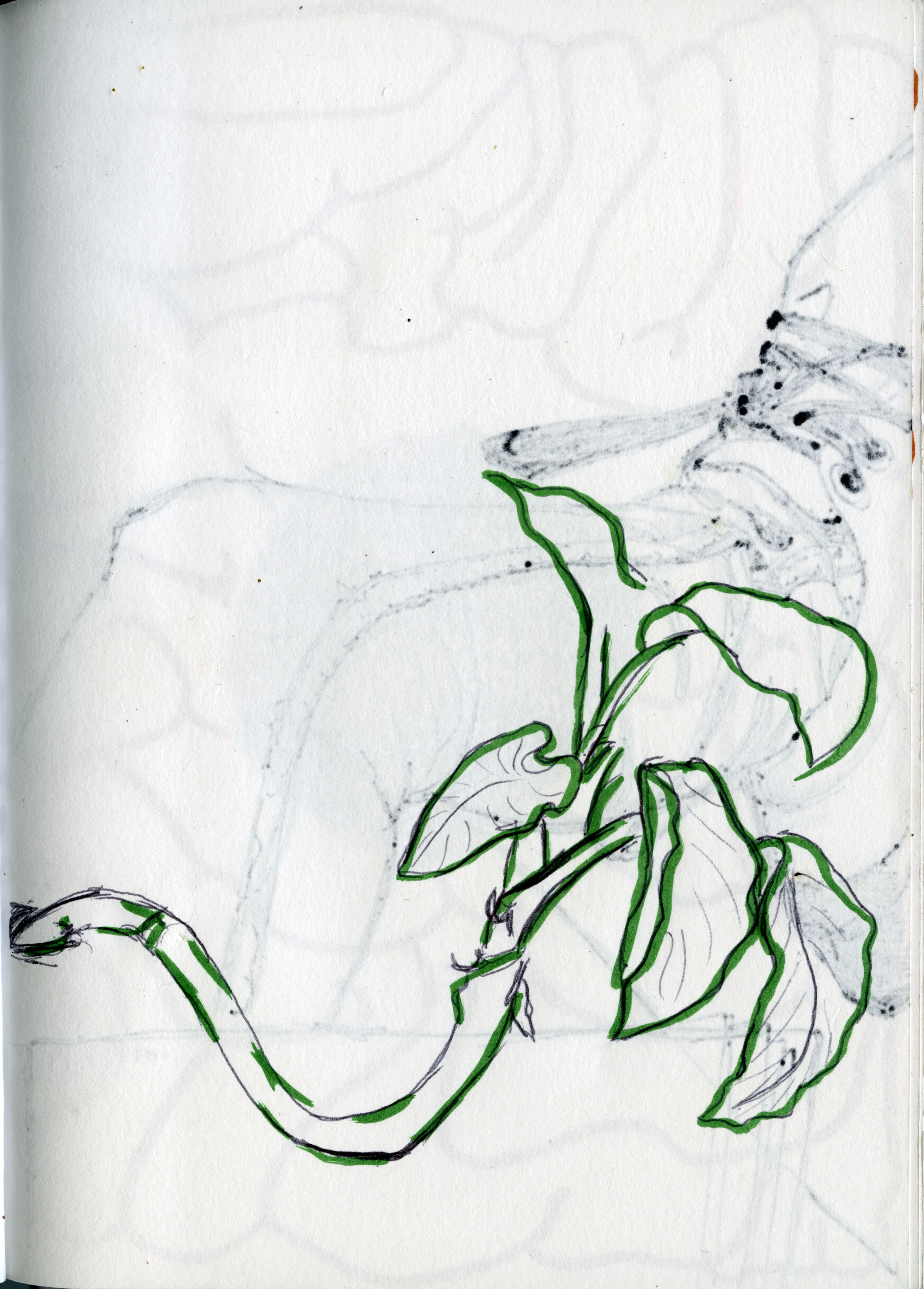 sketch002.jpg