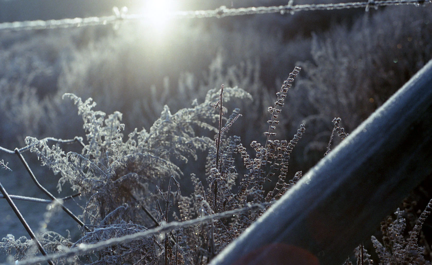 (tennessee, 2011)