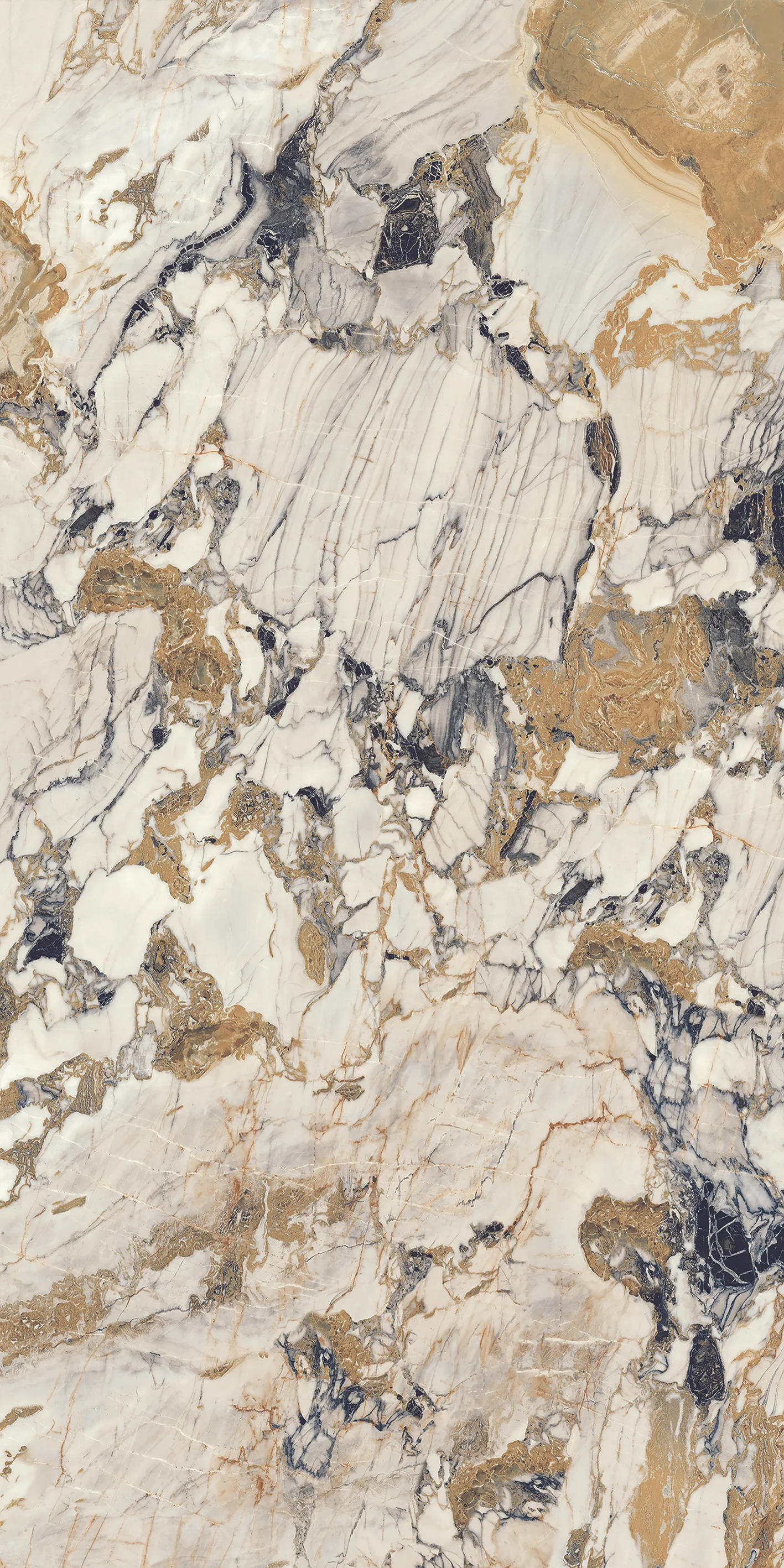 白金琉璃 (2).jpg