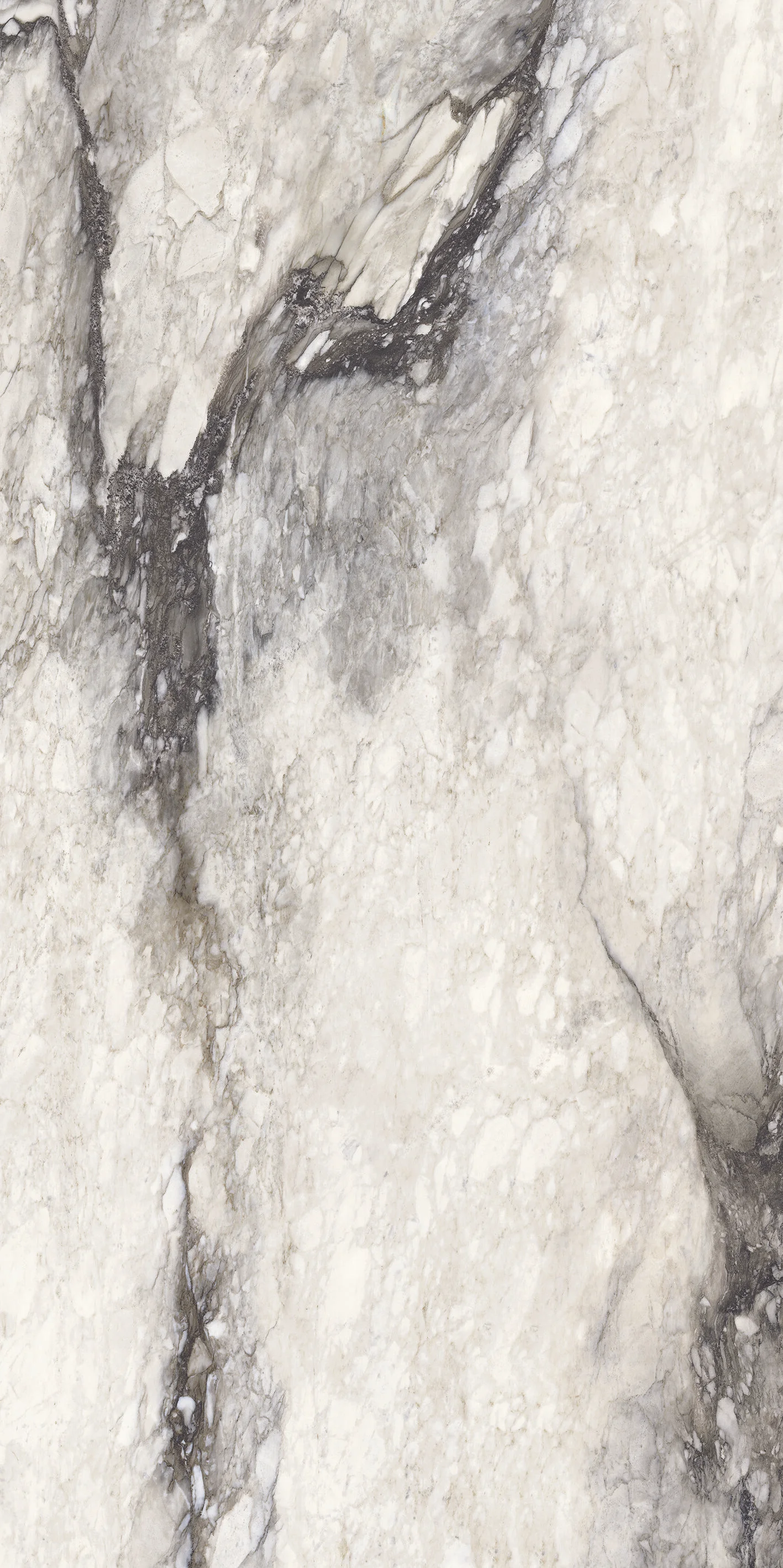 銀白龍(亮) (8).jpg