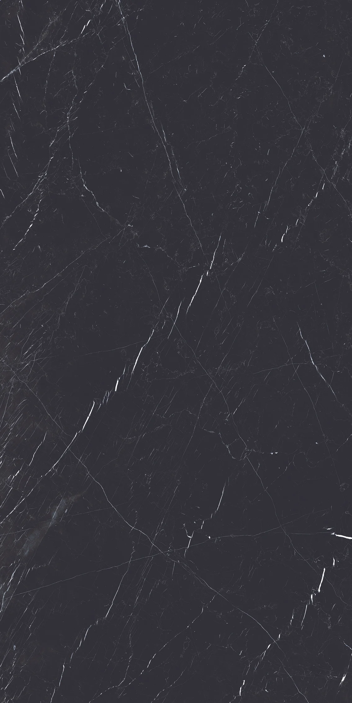 黑白根(亮)  (6).jpg