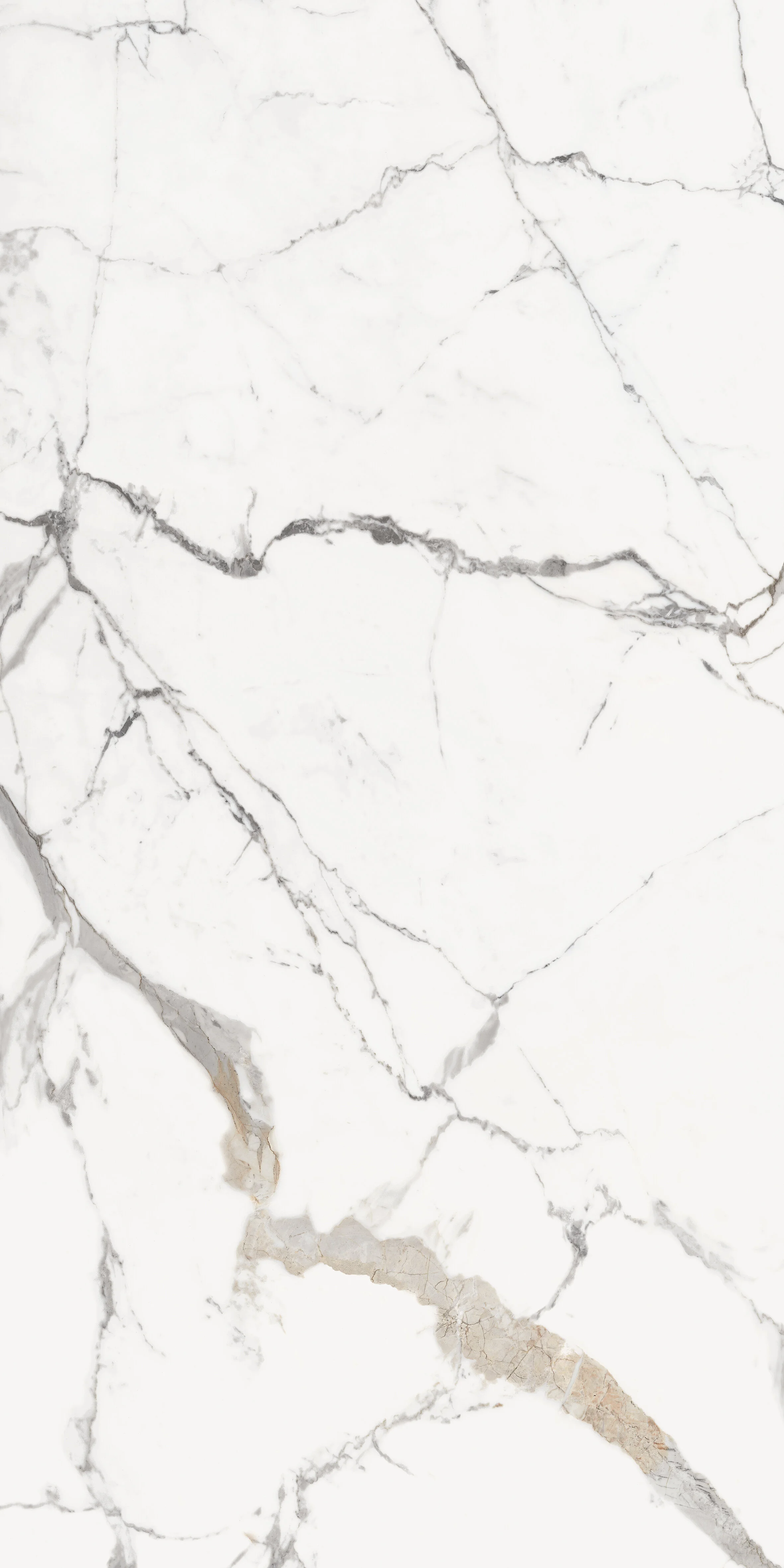 REX-120X240 琉金雕刻(亮)(霧)  (6).jpg