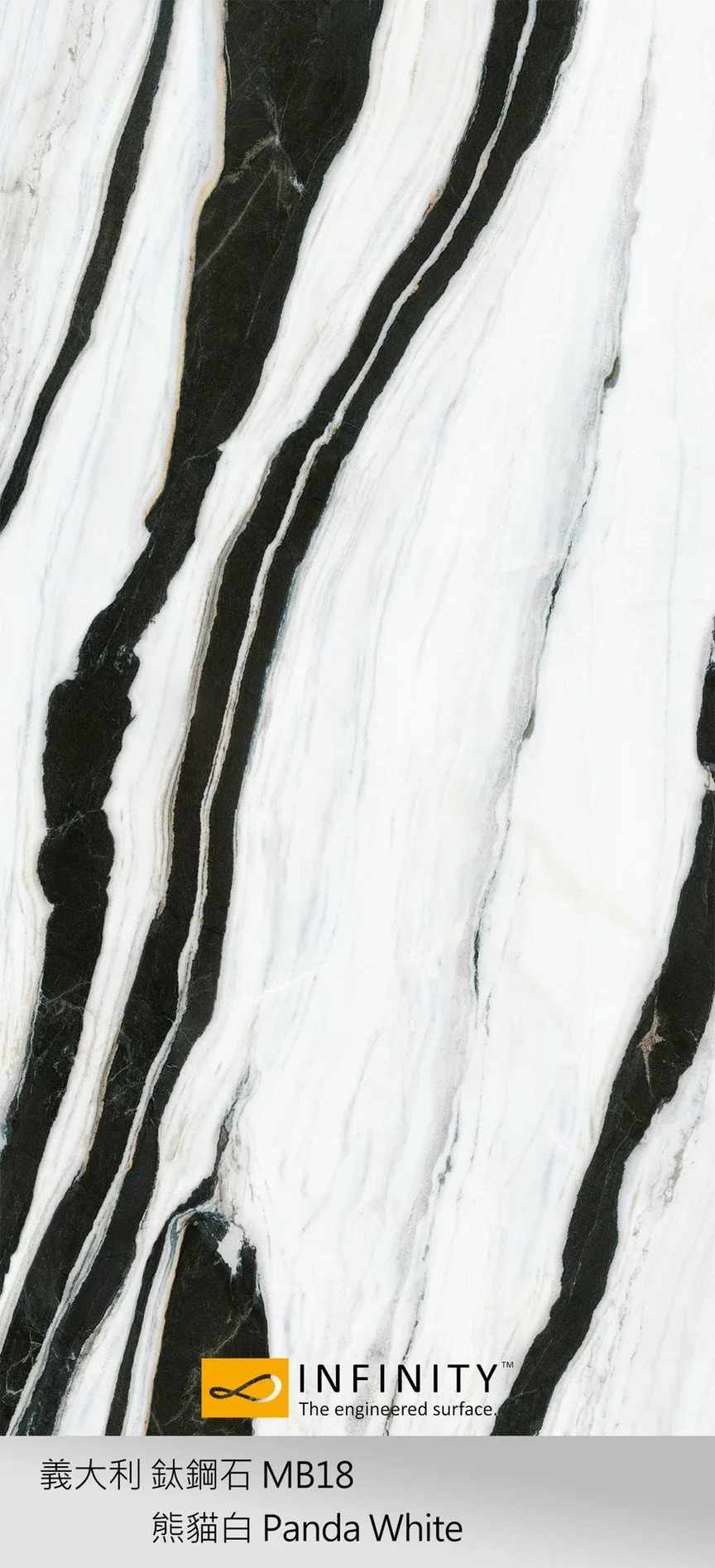 MB18 熊貓白.JPG