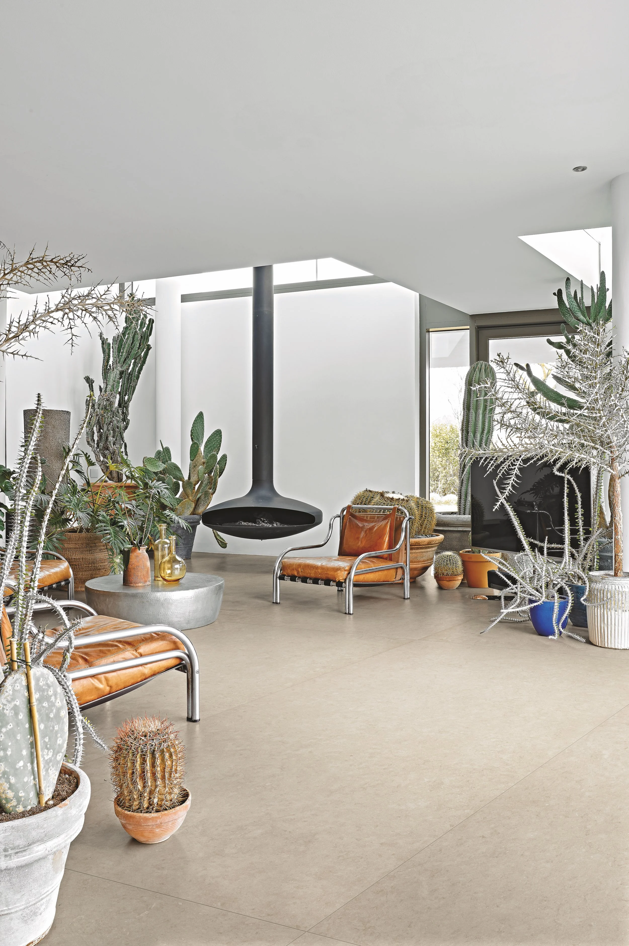 REX萊姆石 米 120x240實景-5.jpg