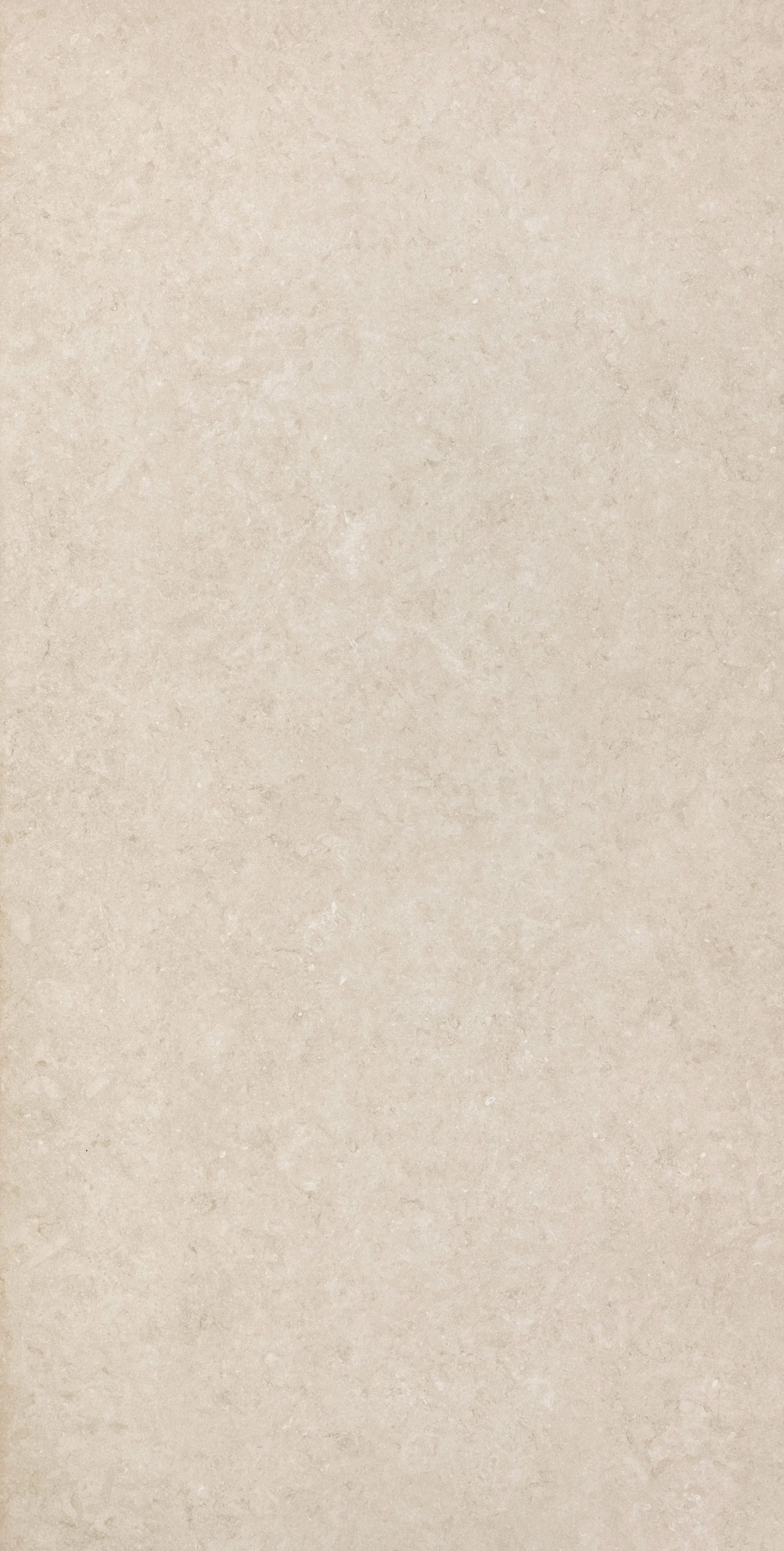 REX萊姆石 米 120x240-3.jpeg