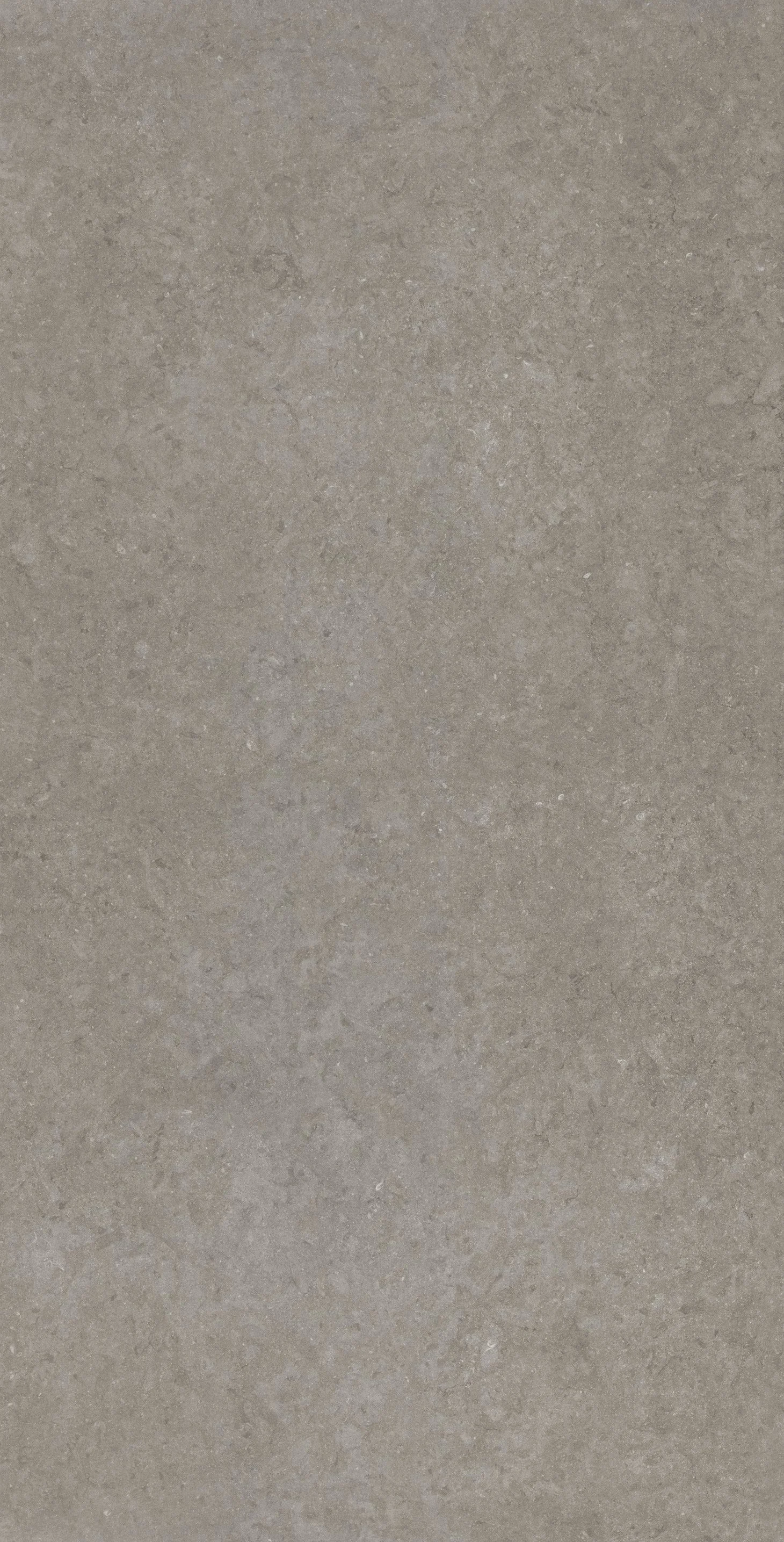 REX萊姆石 灰 120x240-1.jpeg