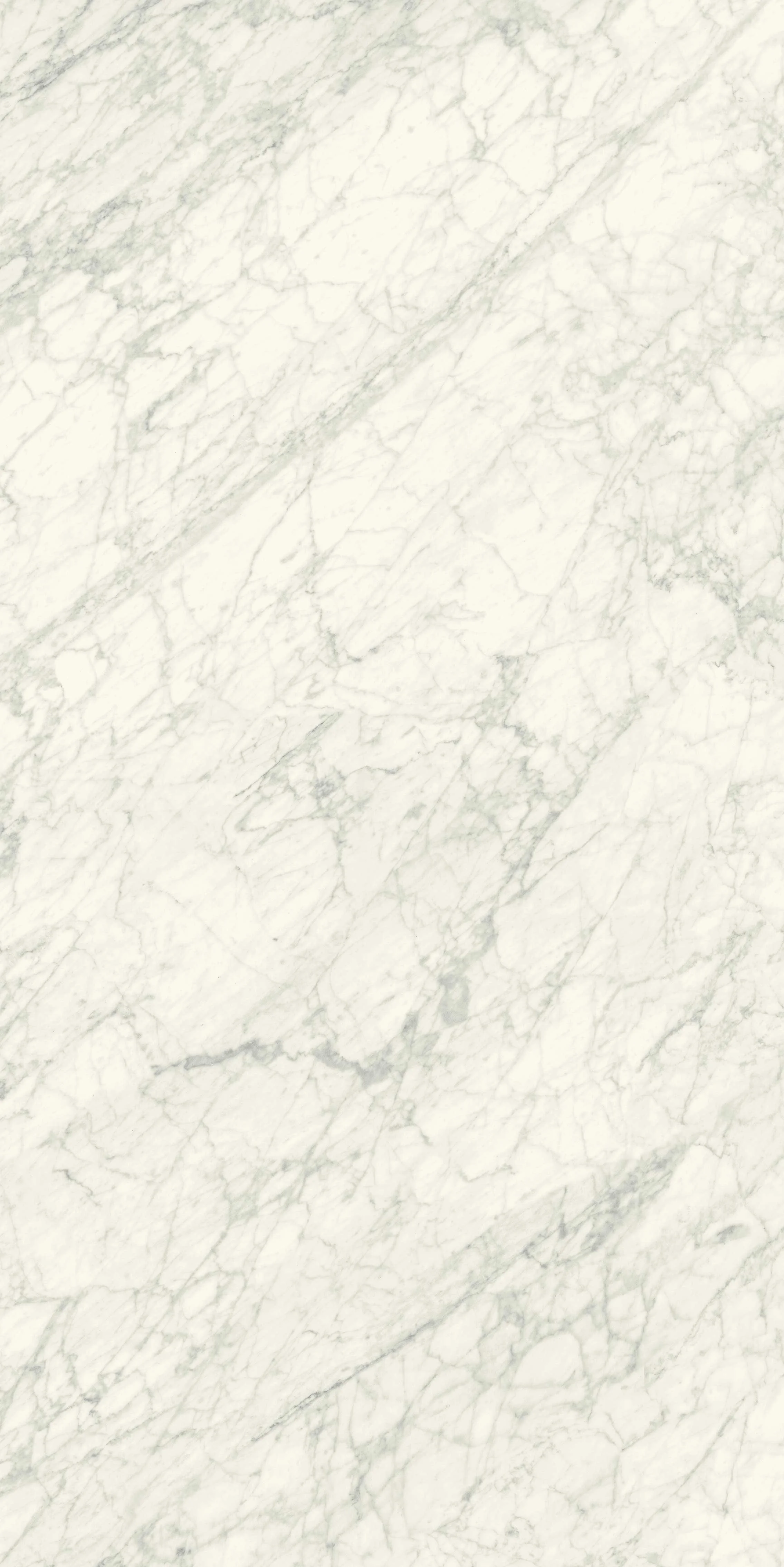 CS-60X120 雪白卡拉 (亮).jpg