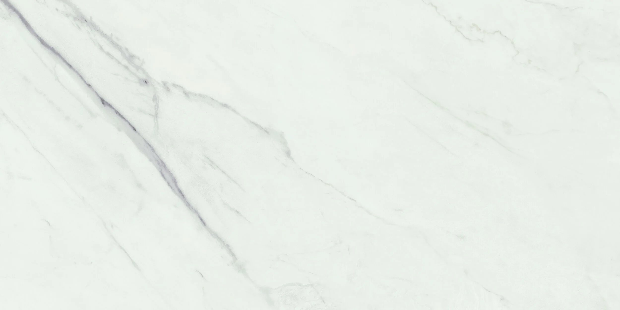 BA-60X120 雪狐(亮) (5).jpg