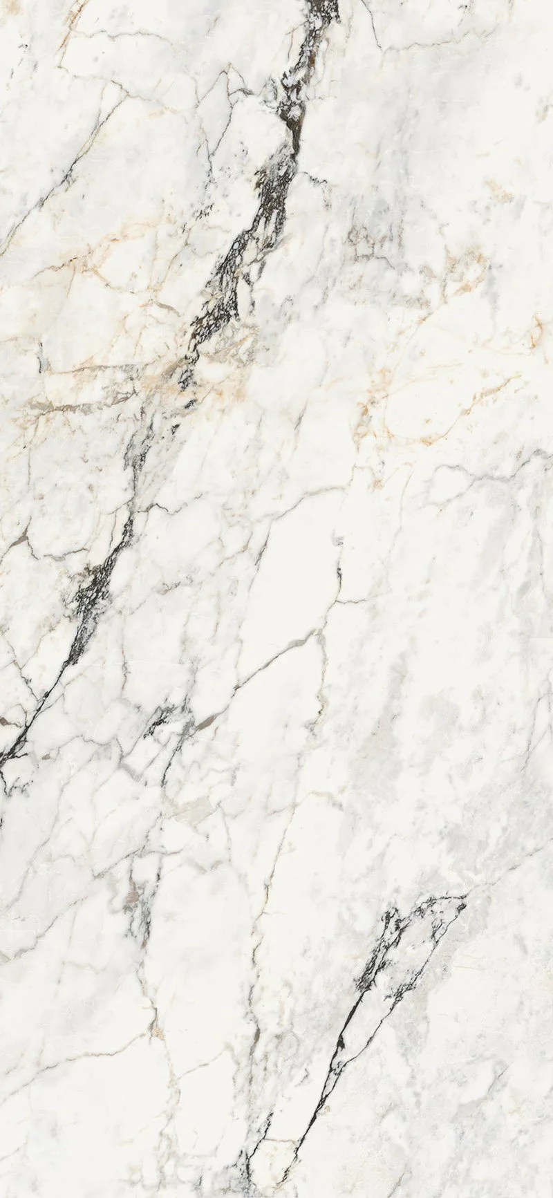 單磚_120x260_羽裳金(亮)_AE(PAO)_ (2)拷貝.jpg