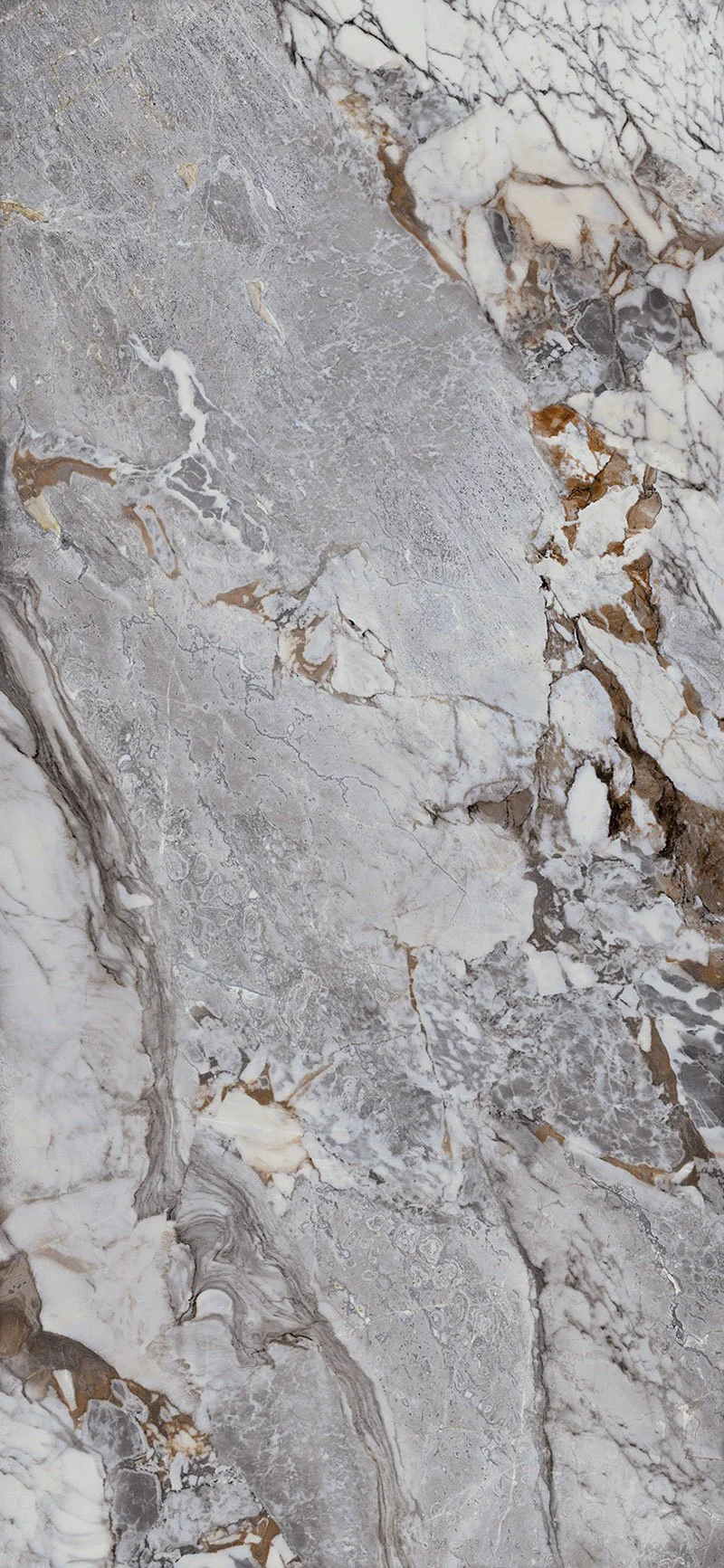 單磚_120x260_魅影灰(亮)_AE(UNI)_ (2)拷貝.jpg