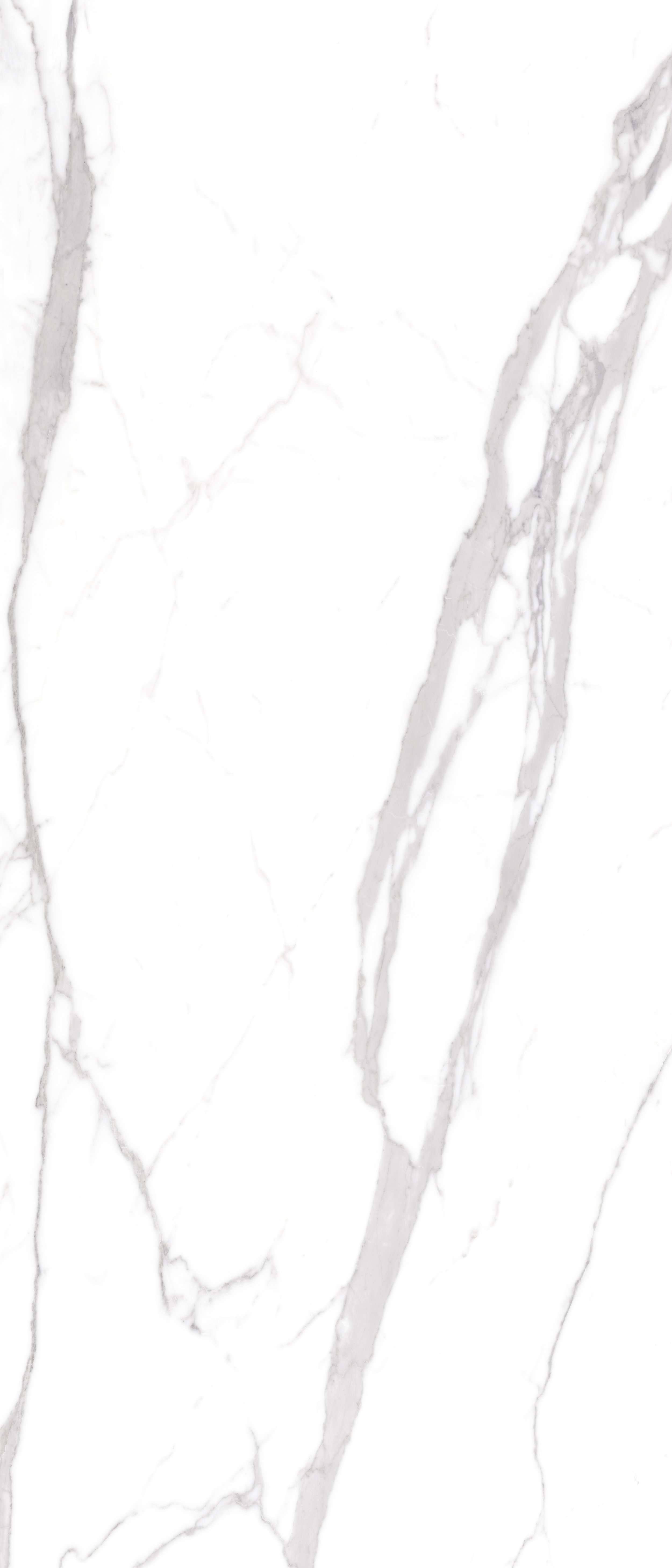 琉金歲月-銀狐_ (1).jpg