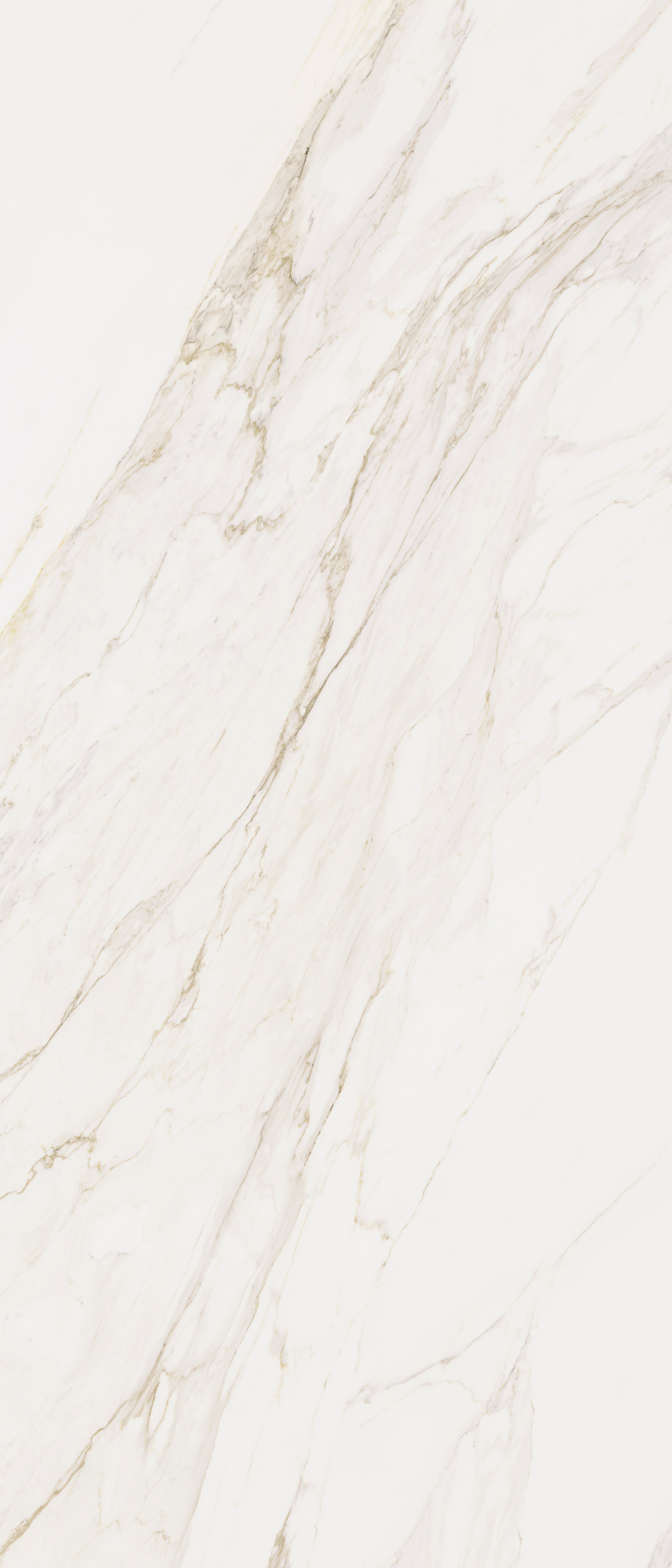 琉金歲月-卡拉拉_ (1).jpg