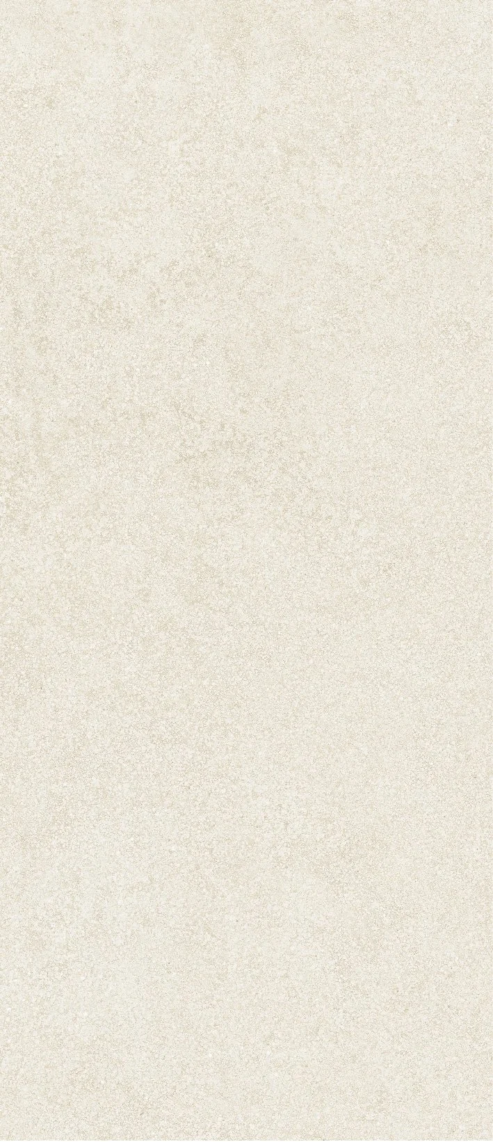 泥彩白 120x278-01.jpg