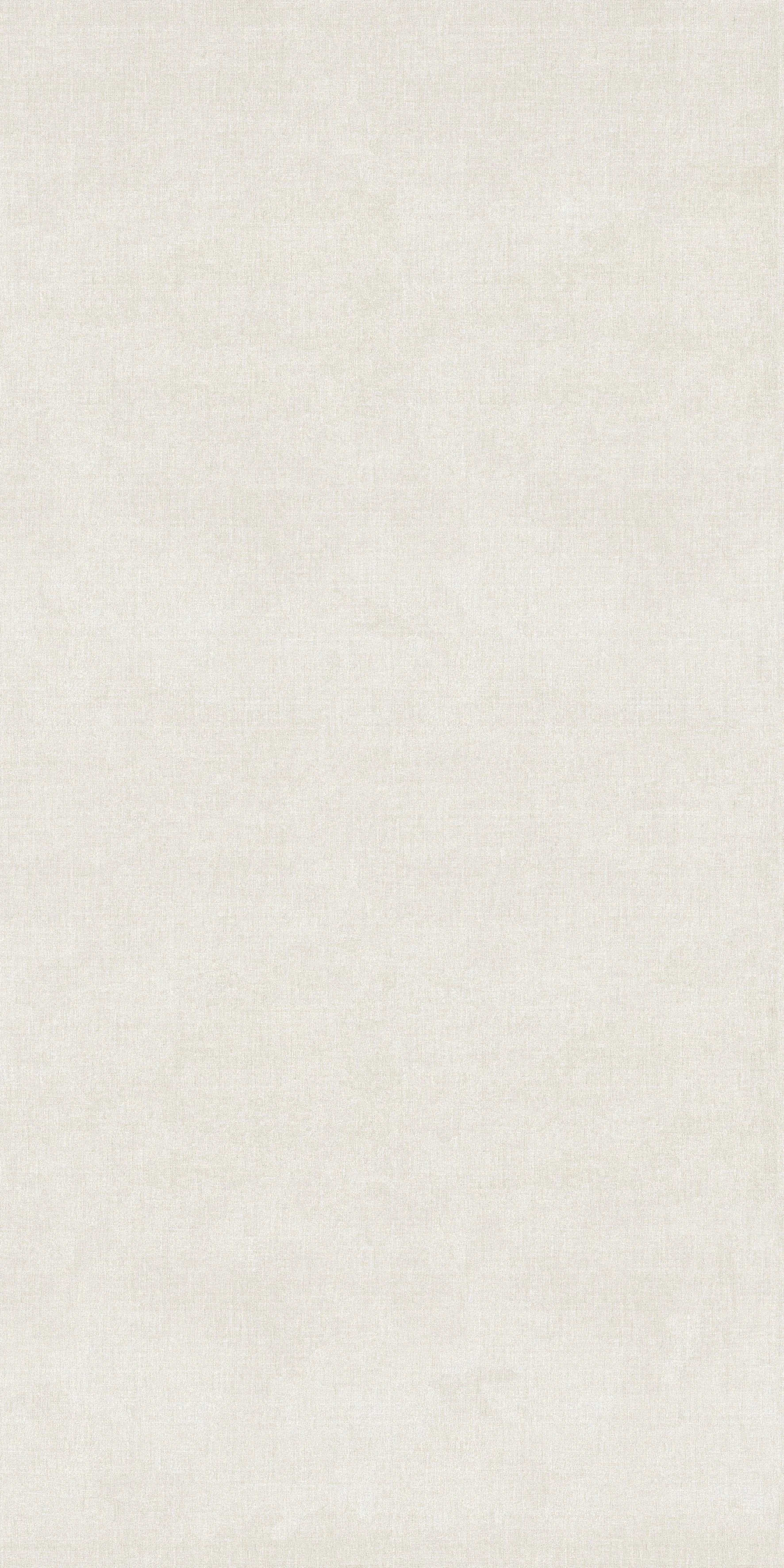 宮崎 白 120x278.jpg