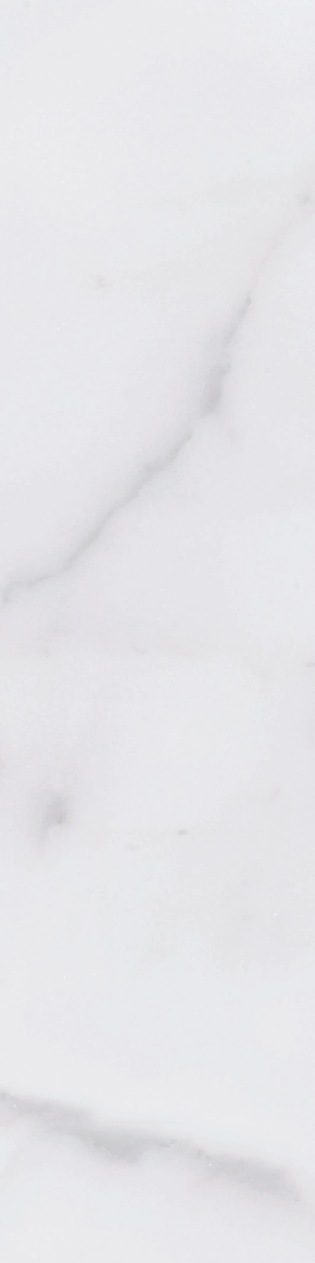 卓別林花磚A(亮)(霧)-7.5x30 (12).jpg