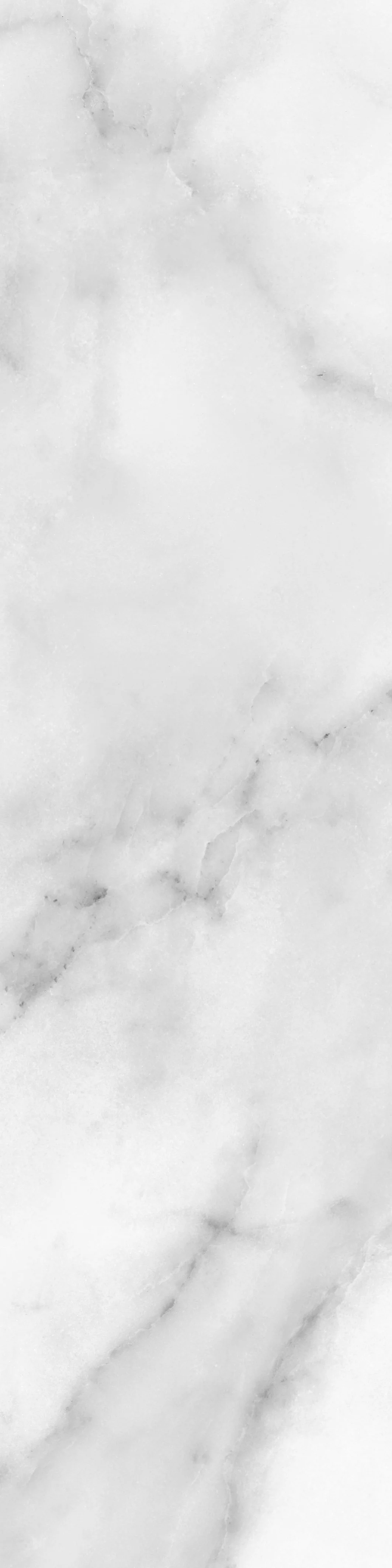 卓別林花磚A(亮)(霧)-7.5x30 (19).jpg