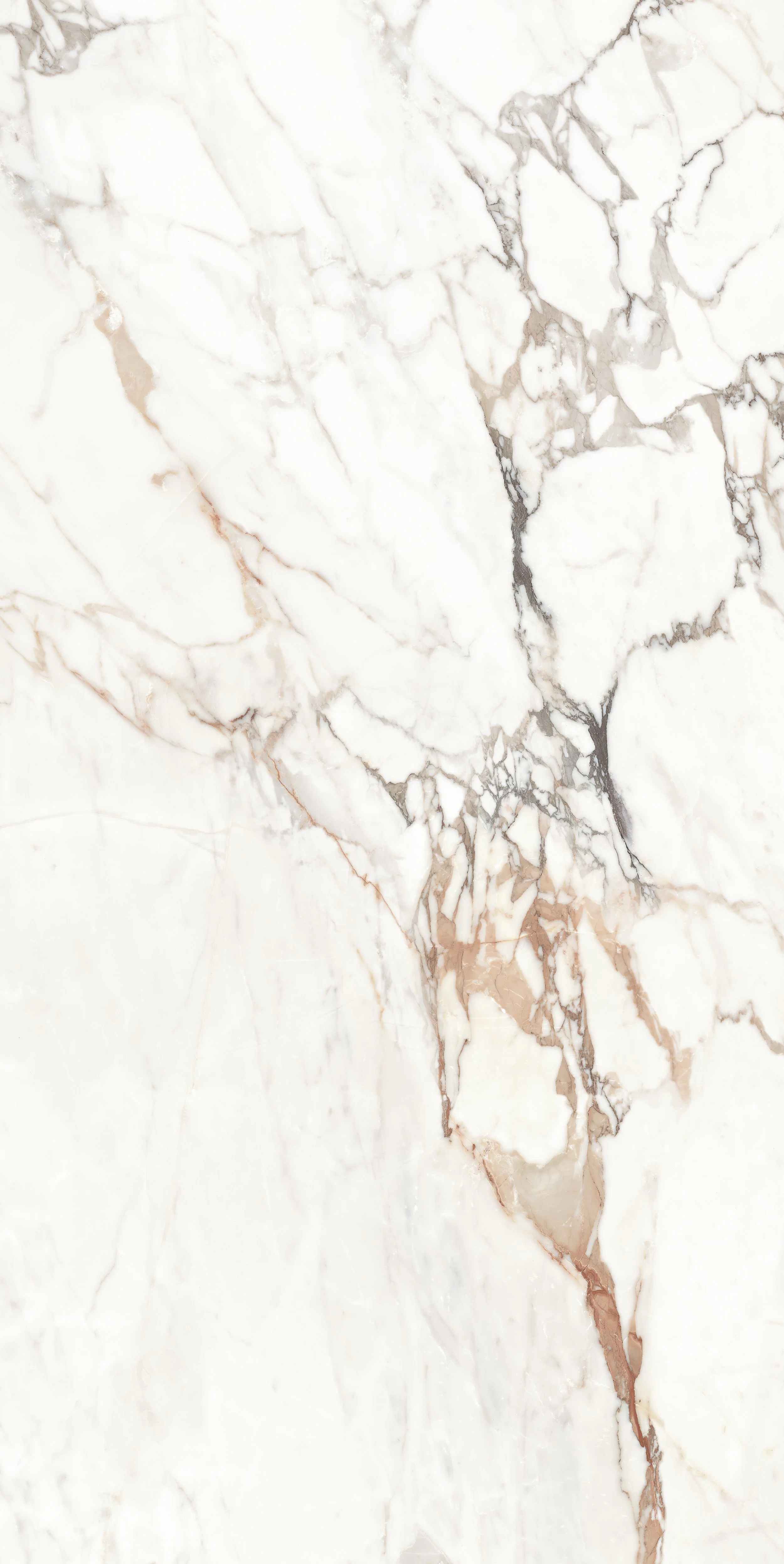 伊莉莎白 (亮)(絲綢) 60X120 (2).jpg