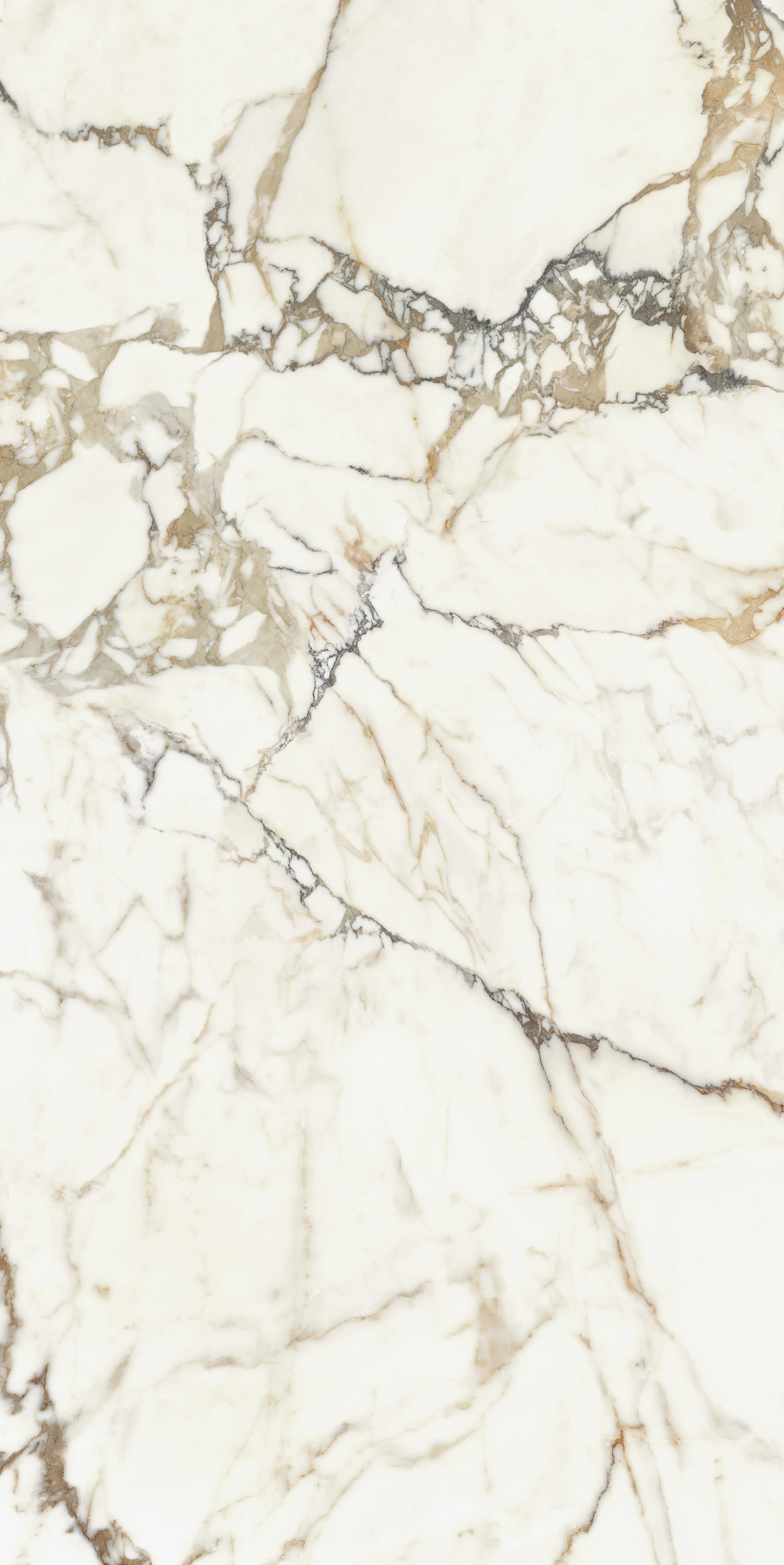 伊莉莎白 (亮)(絲綢) 60X120 (3).jpg