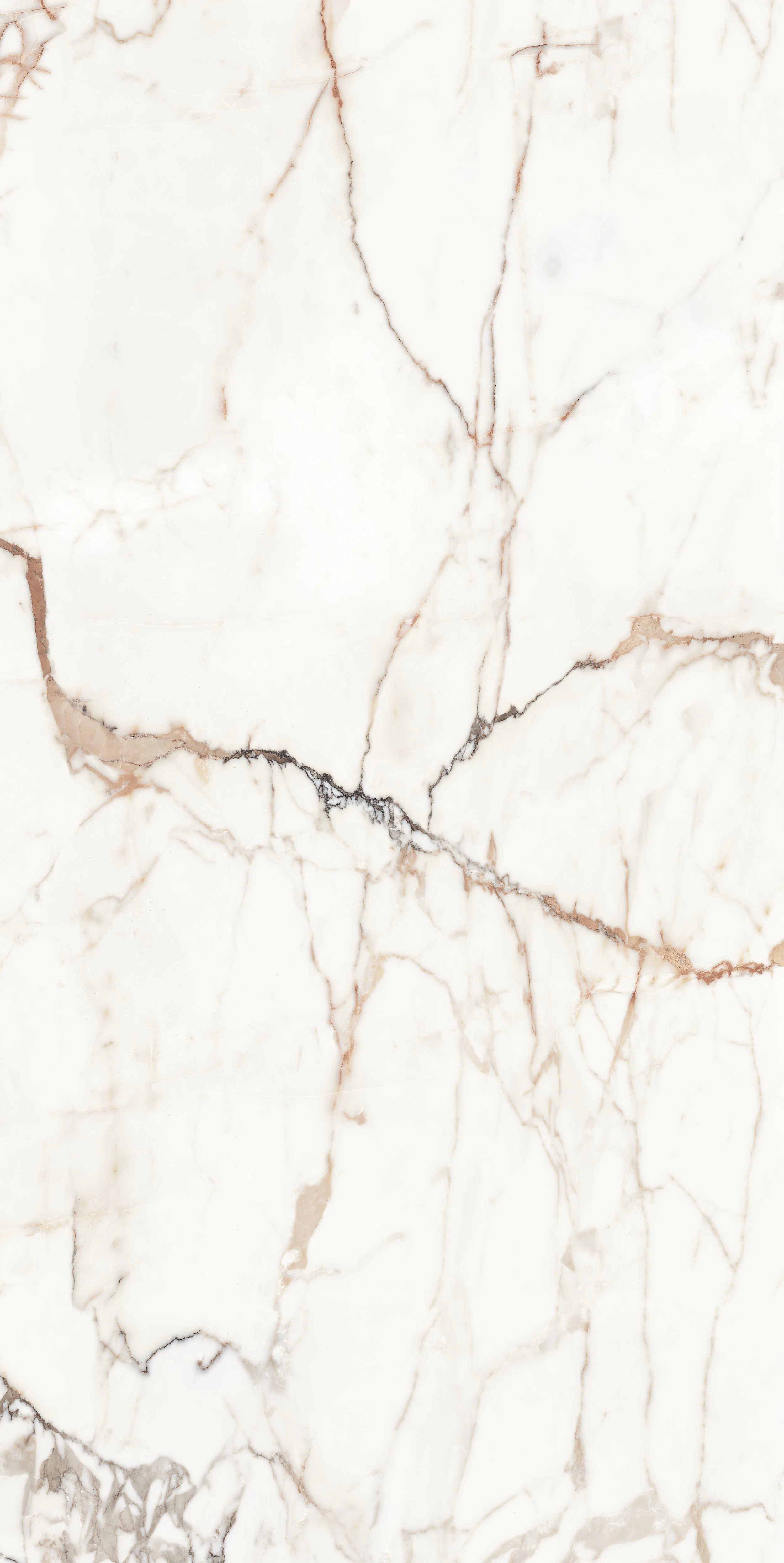 伊莉莎白 (亮)(絲綢) 60X120 (4).jpg