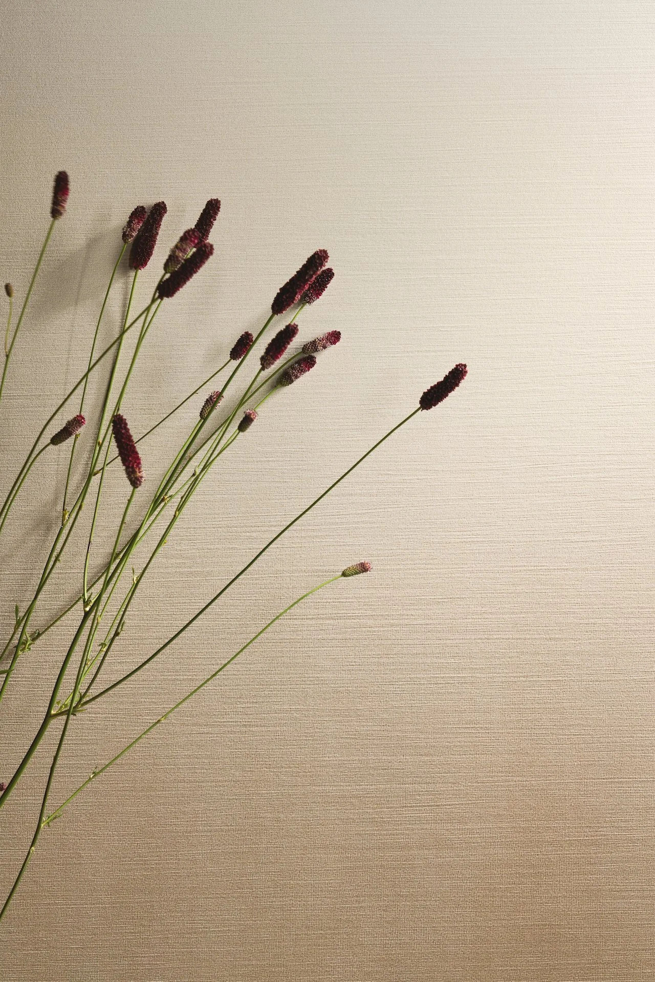 實景 光譜-渲染焦糖花磚 (3).jpg