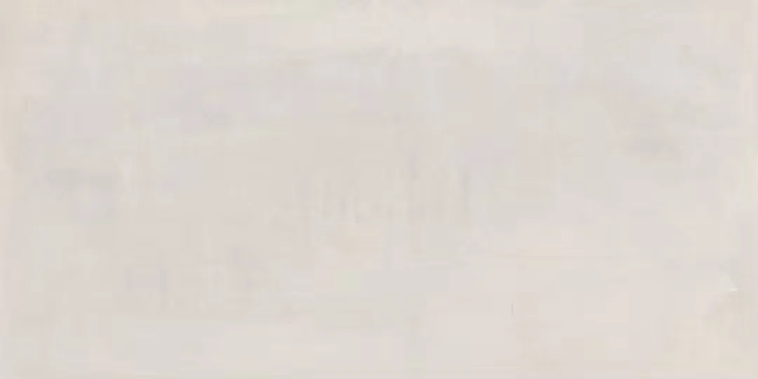 普拉多_米60x120_單磚照 (3).jpg