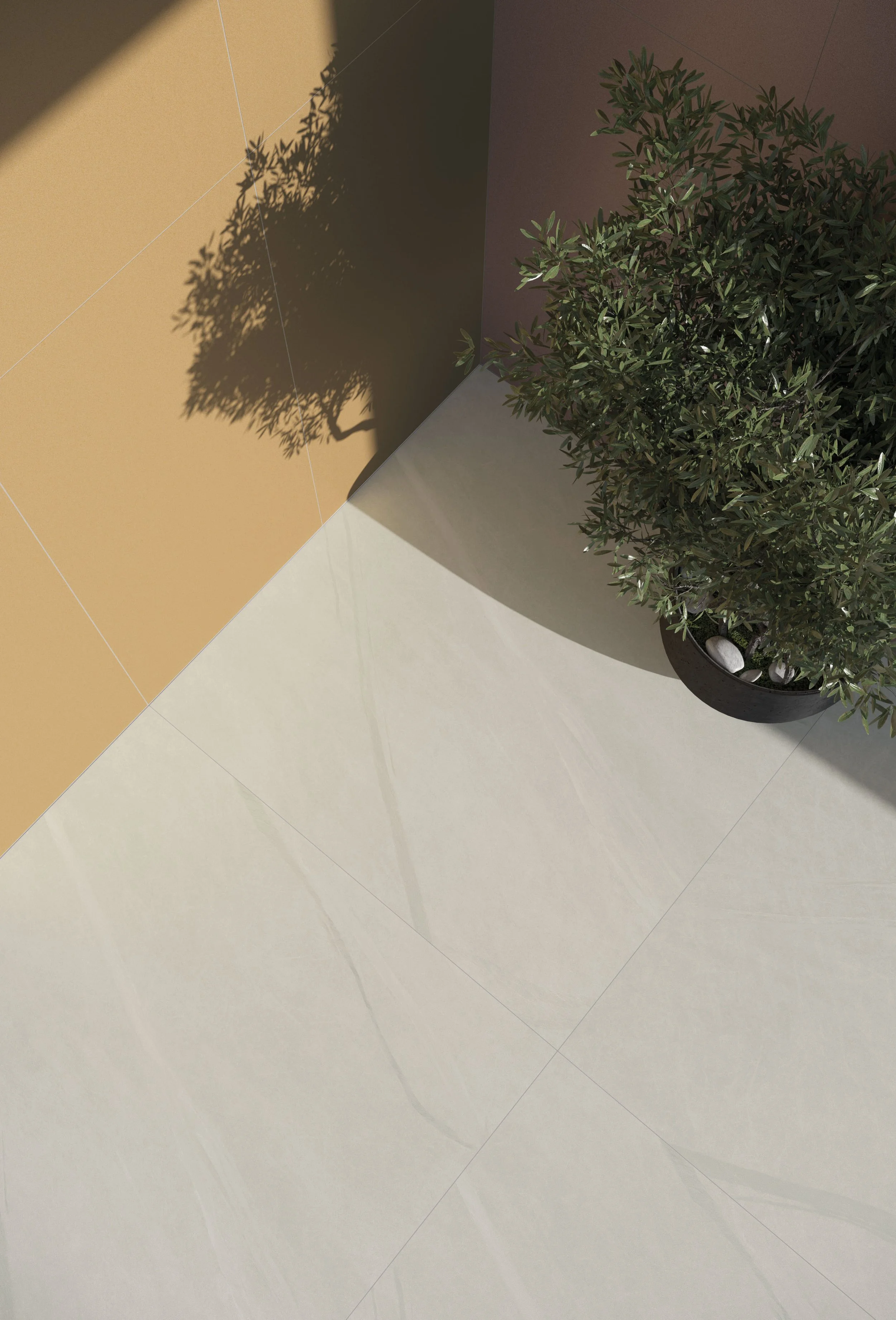 實景 沐木NO.5黃.jpg