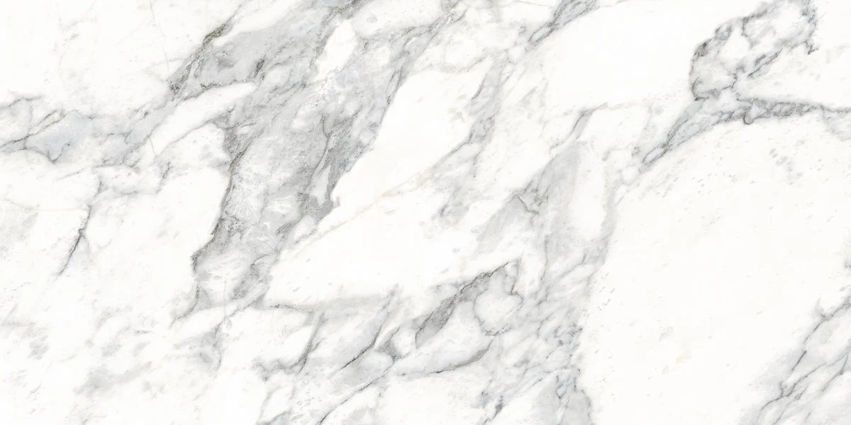 蒙塔拉NO.1大花白 60x120 單磚 (4).jpg