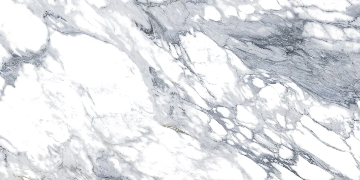 蒙塔拉NO.2大雕刻 60x120 單磚 (3).jpg