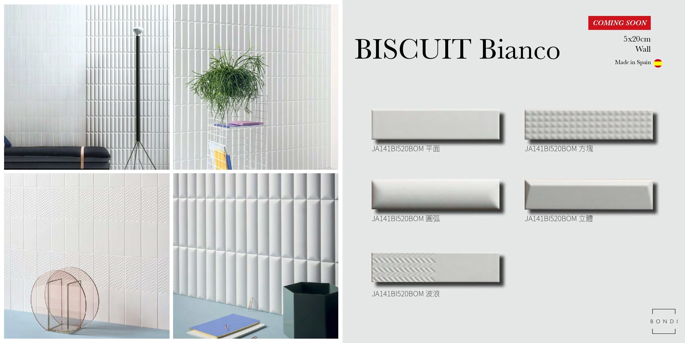 BISCUIT Bianco 5x20.jpg