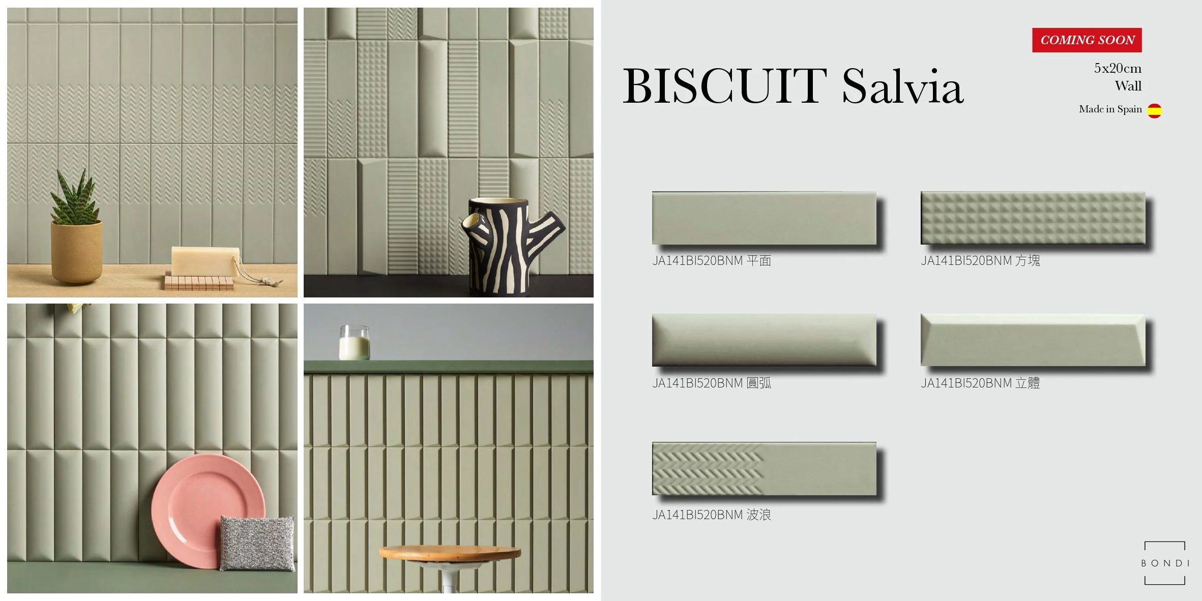 BISCUIT Salvia 5x20.jpg